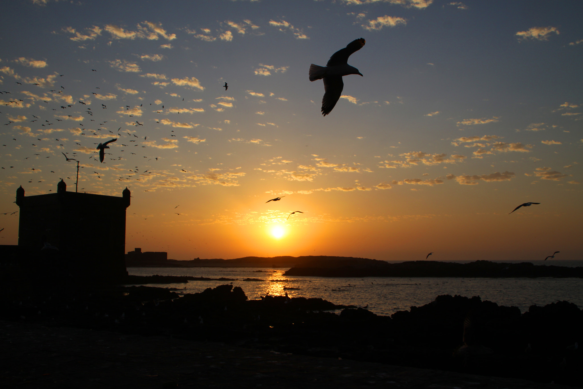 Canon EOS 50D sample photo. Sunset in essaouira photography