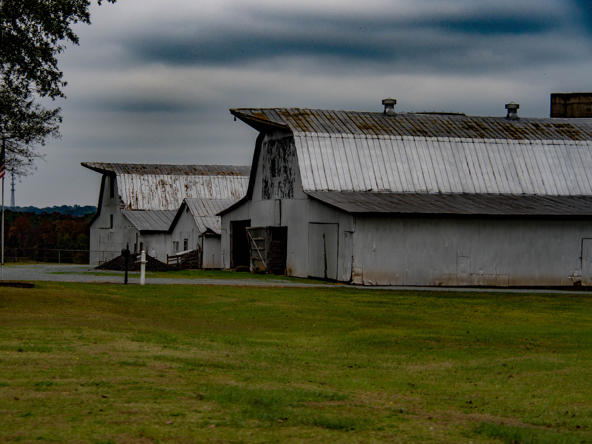 Olympus PEN E-P5 sample photo. The wizard of oz photography