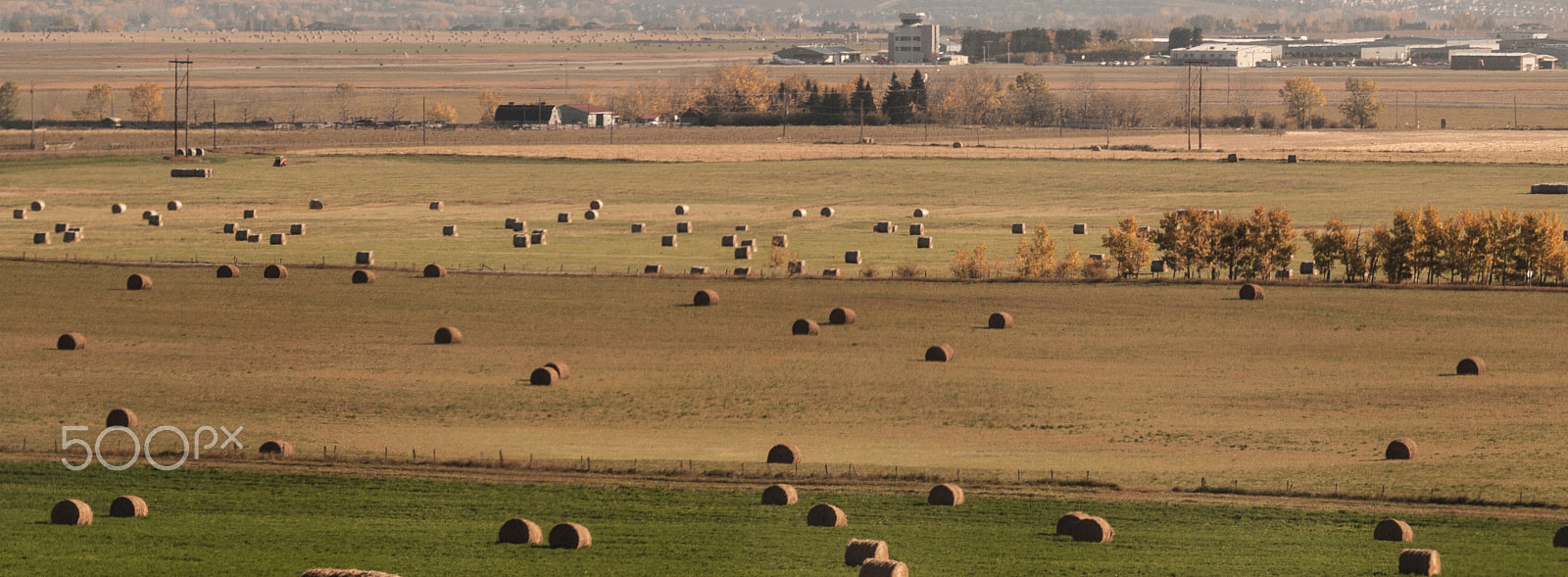 Olympus Zuiko Digital ED 70-300mm F4.0-5.6 sample photo. Fields of hay photography
