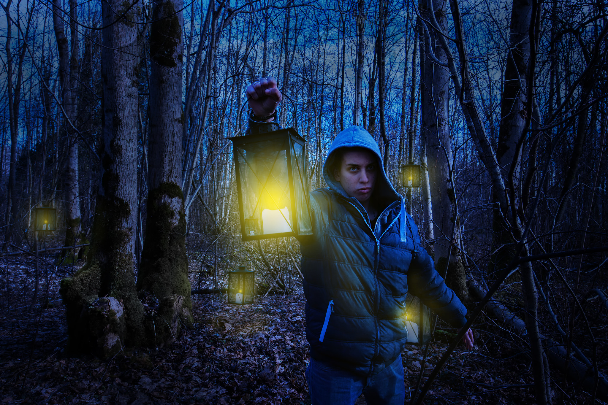 Canon EF 16-35mm F4L IS USM sample photo. In the forest photography