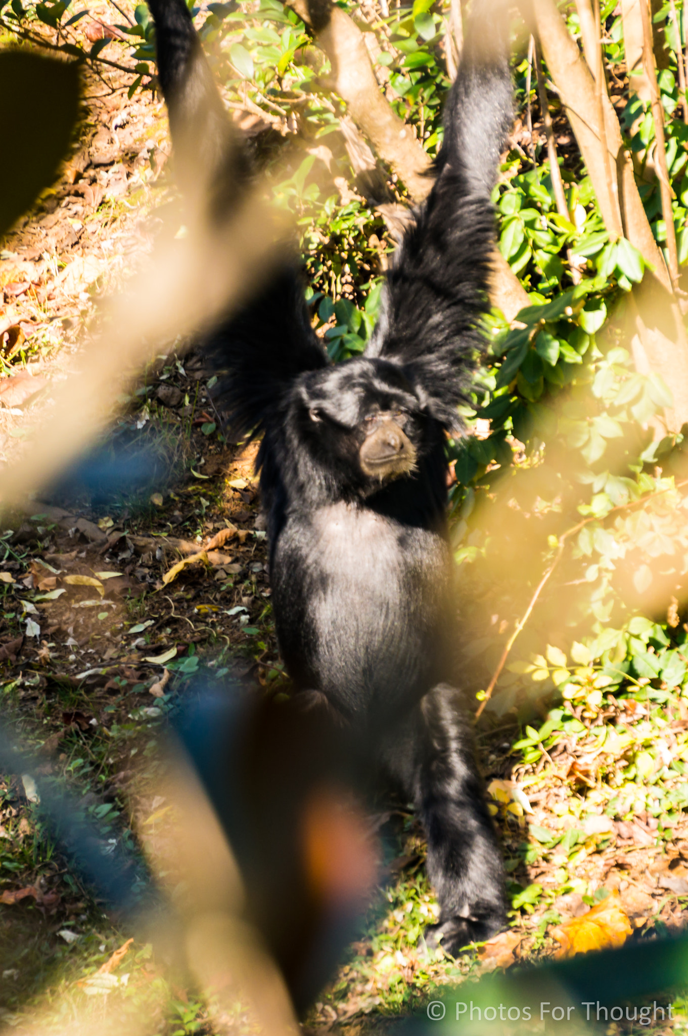 Sony Alpha NEX-5R sample photo. Hang about photography