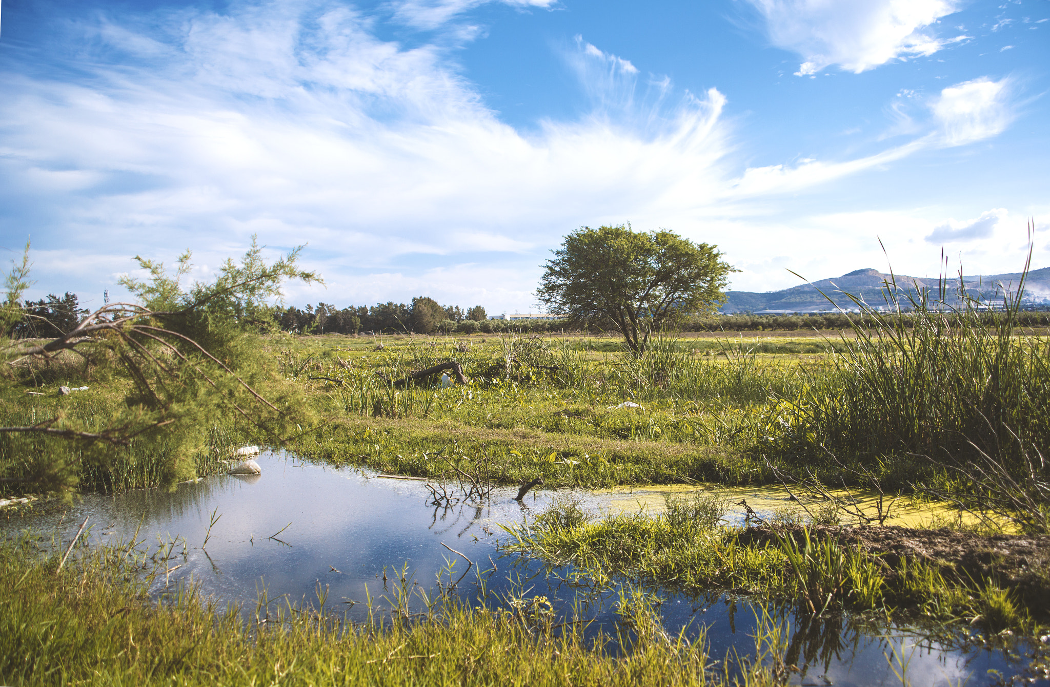 Canon EF 28-80mm f/3.5-5.6 USM sample photo. Earthed photography