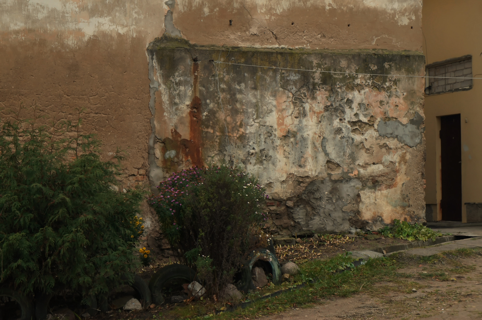 Sony Alpha NEX-C3 sample photo. Fragment photography