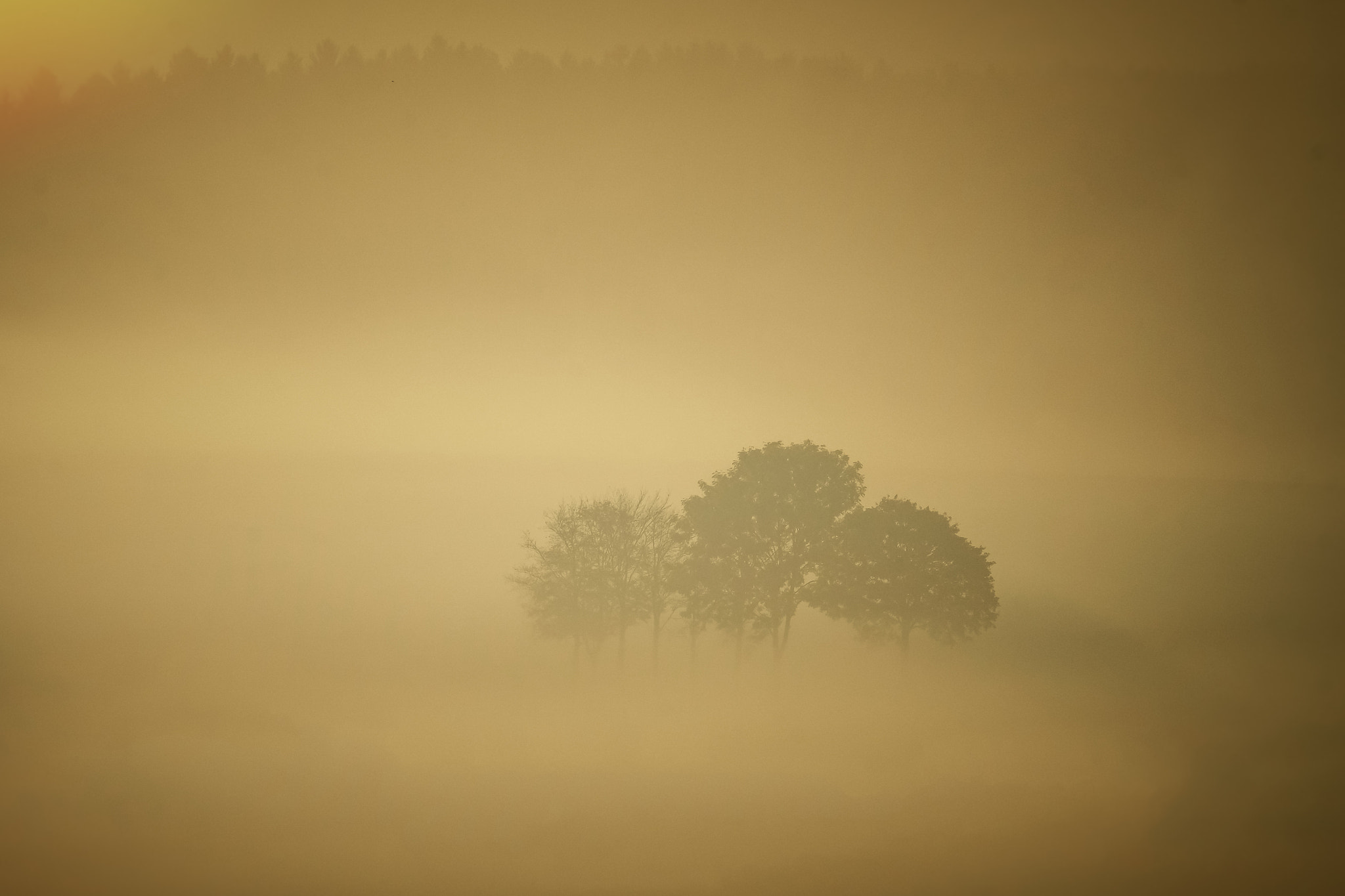 Fujifilm XF 100-400mm F4.5-5.6 R LM OIS WR sample photo. Golden sunrise photography