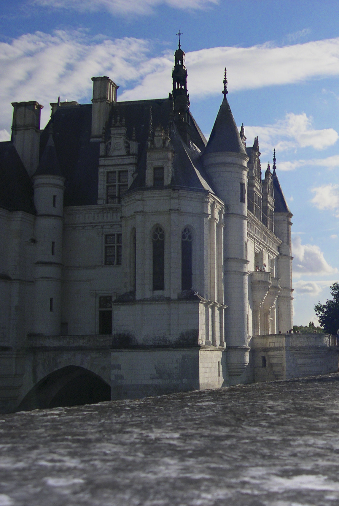 Nikon E4300 sample photo. Château de chenonceau photography