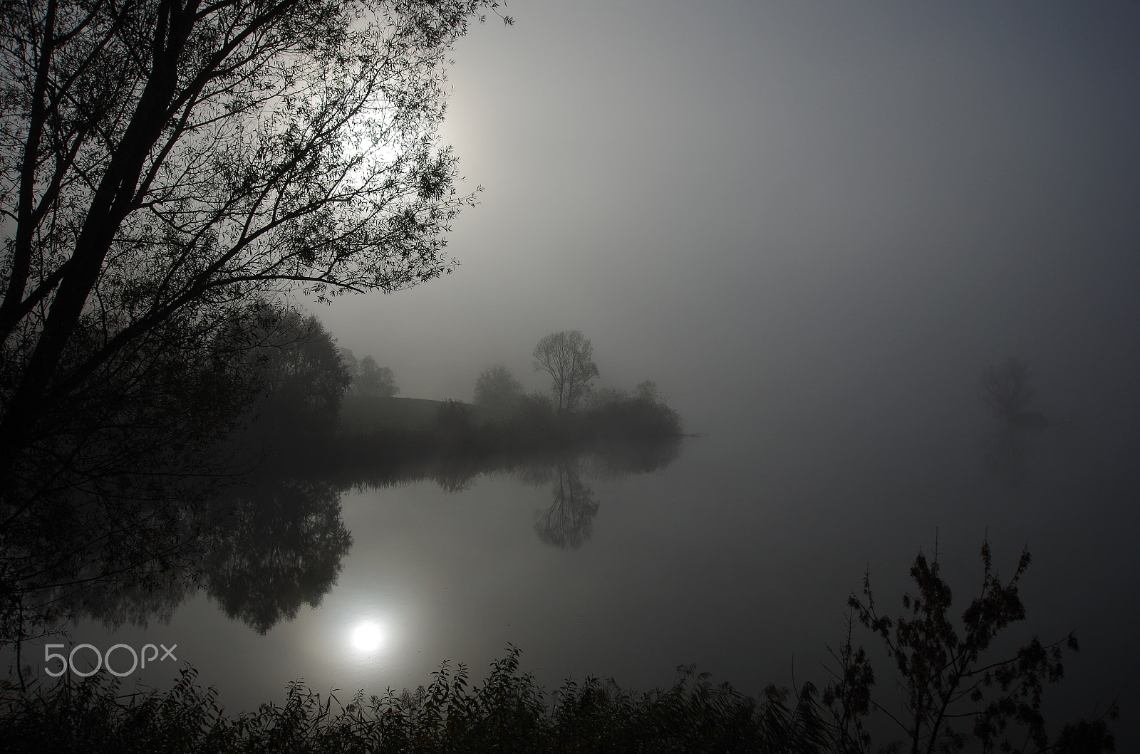Sigma 10-20mm F3.5 EX DC HSM sample photo. Foggy impression photography