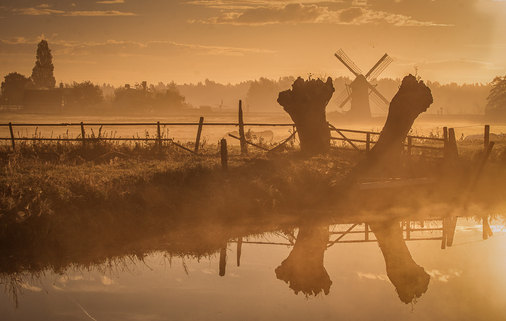Canon EOS 50D + Canon EF-S 55-250mm F4-5.6 IS STM sample photo. Dutch dawn ii photography