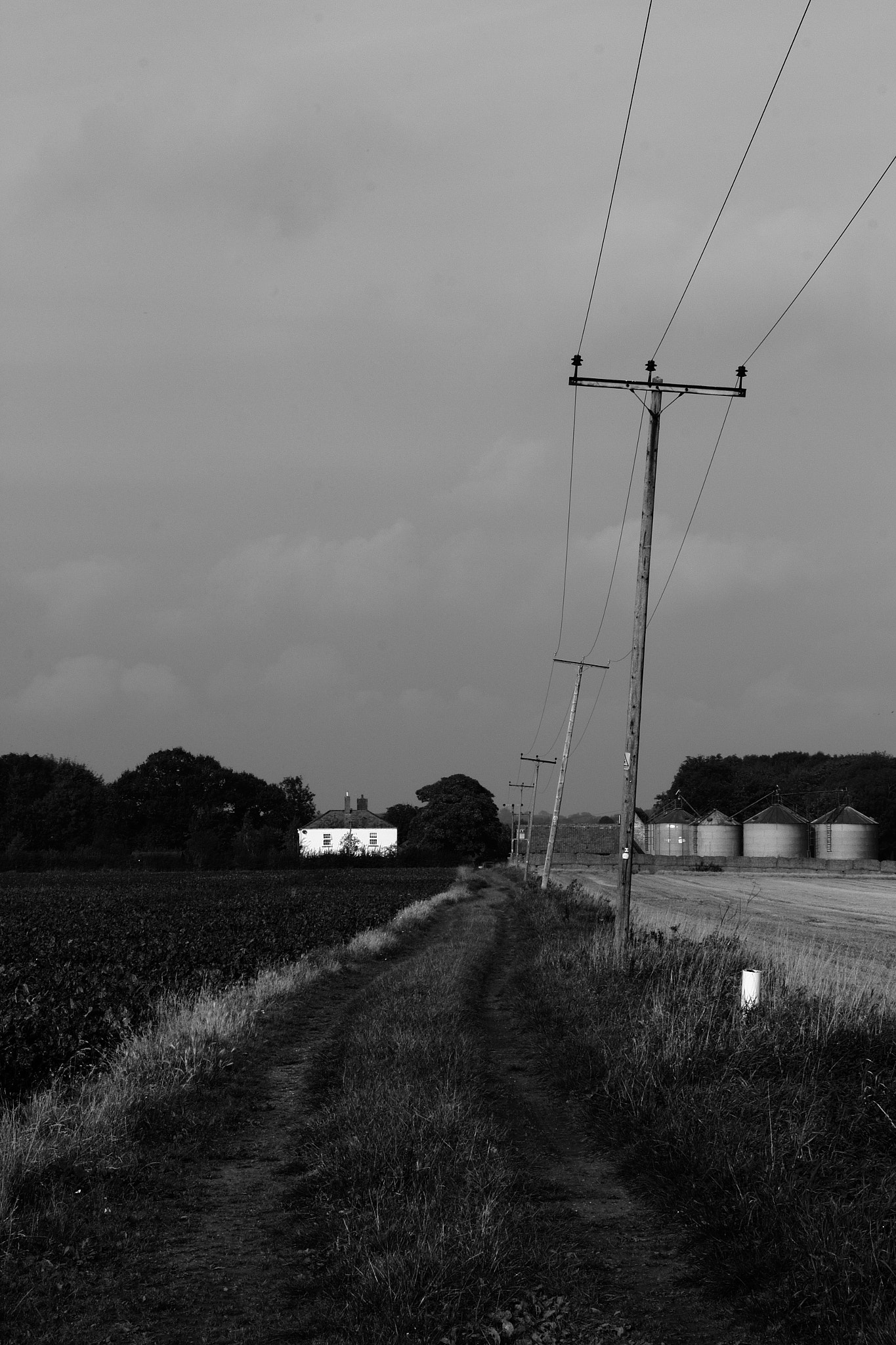 Canon EF 75-300mm F4.0-5.6 IS USM sample photo. Farm track photography
