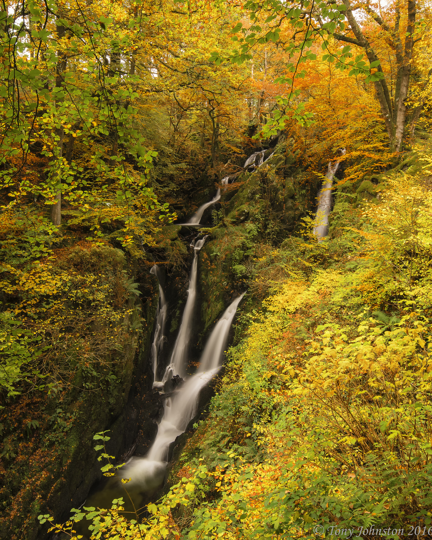 Sigma AF 10-20mm F4-5.6 EX DC sample photo. Stockghyll force waterfall photography