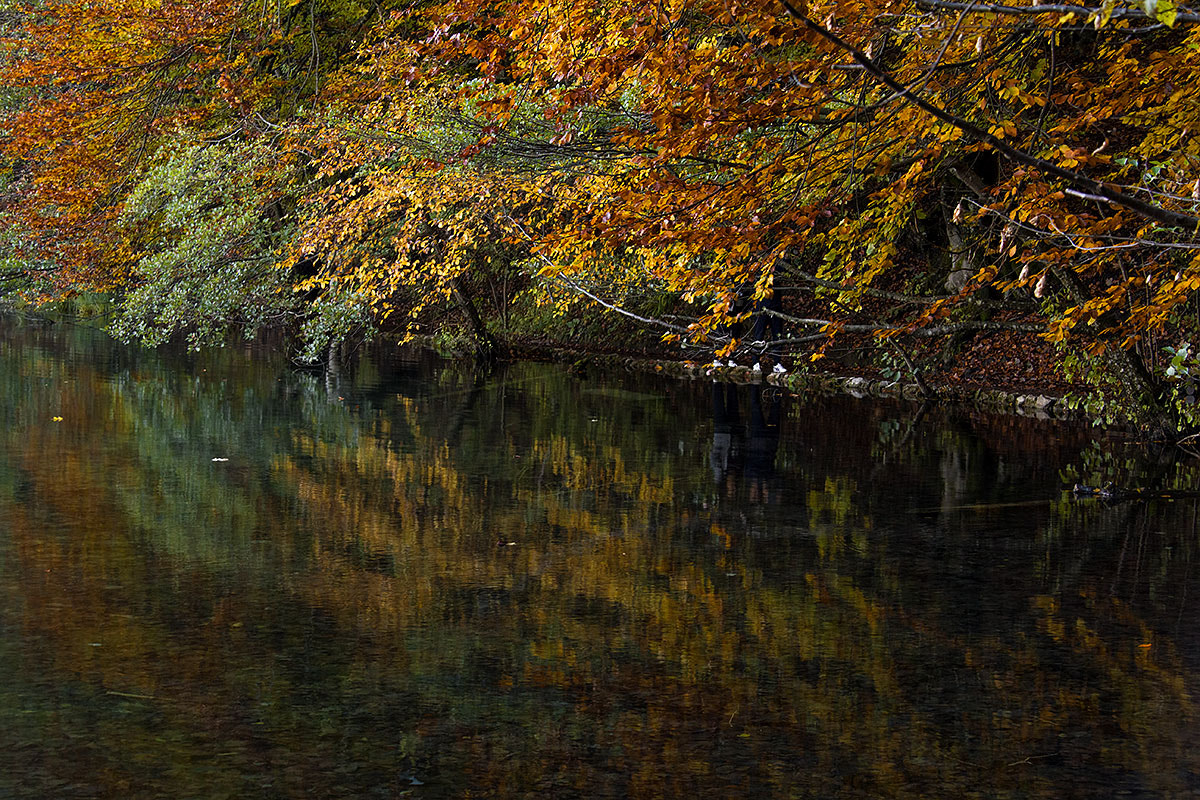 Sigma 18-200mm f/3.5-6.3 DC OS sample photo. Colori d'autunno photography