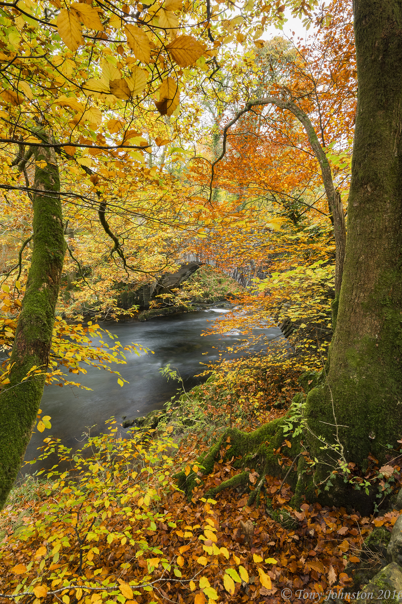 Pentax K-1 sample photo. Clappersgate bridge river brathey photography