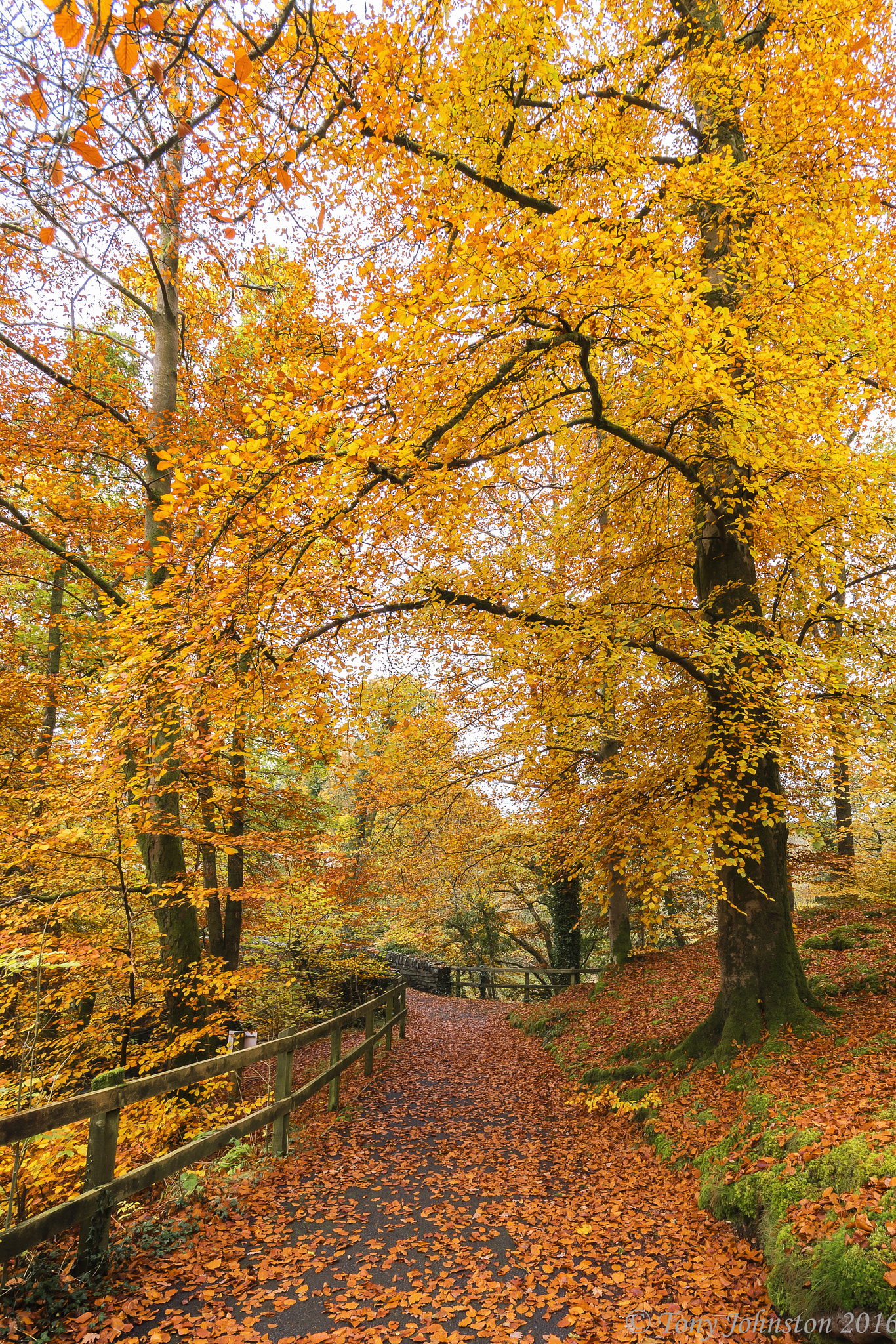 Pentax K-1 sample photo. Path to clappersgate bridge photography