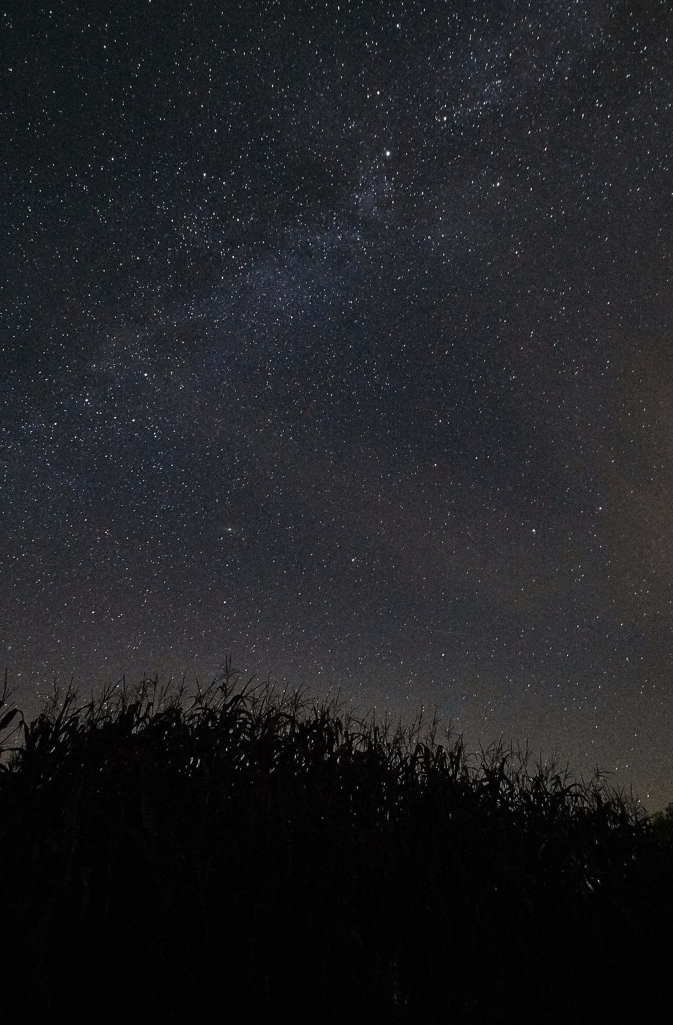 Sony SLT-A58 + 10-20mm F3.5 sample photo. Milky way photography