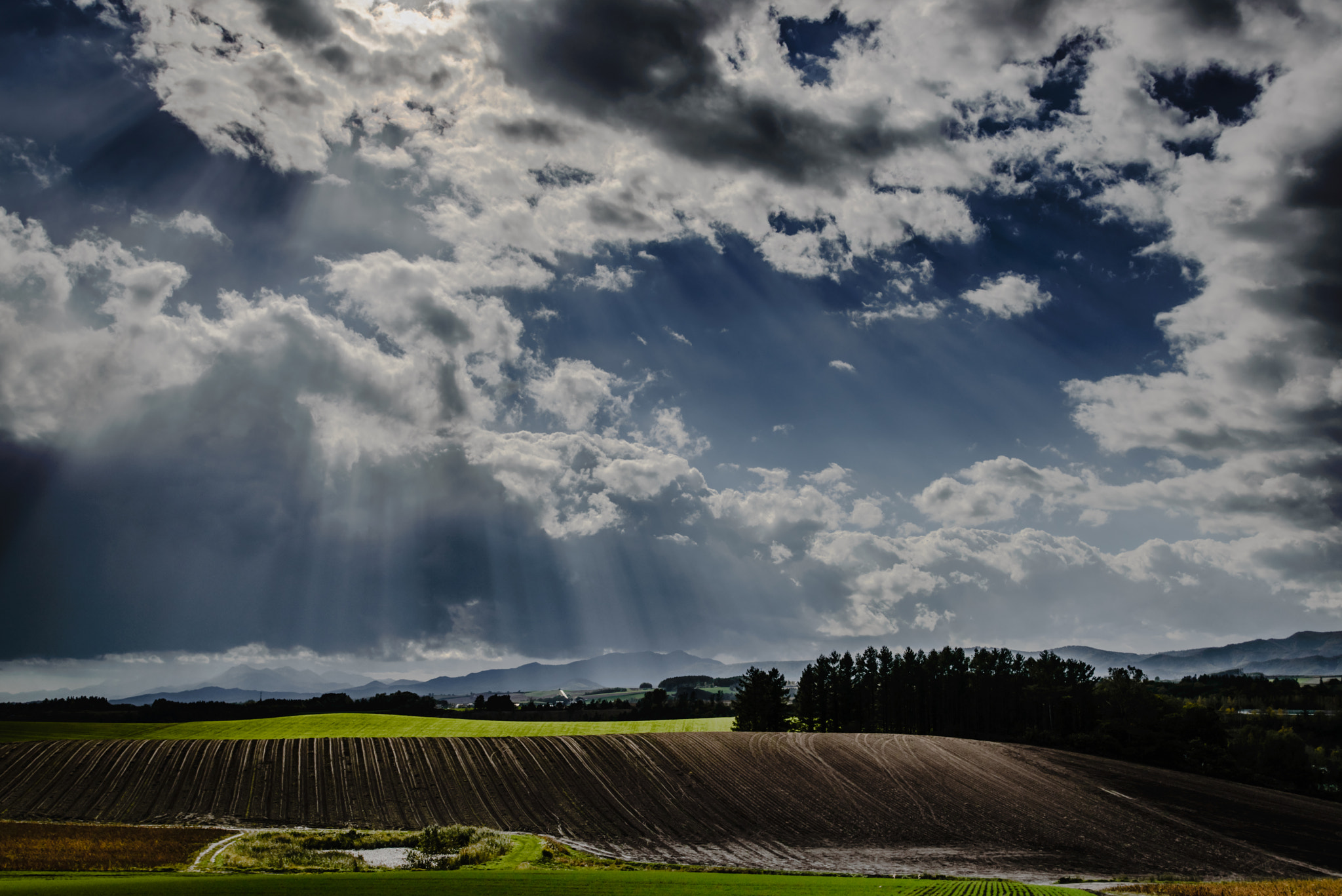 Nikon AF-S Nikkor 18-35mm F3.5-4.5G ED sample photo. On the hill Ⅱ photography