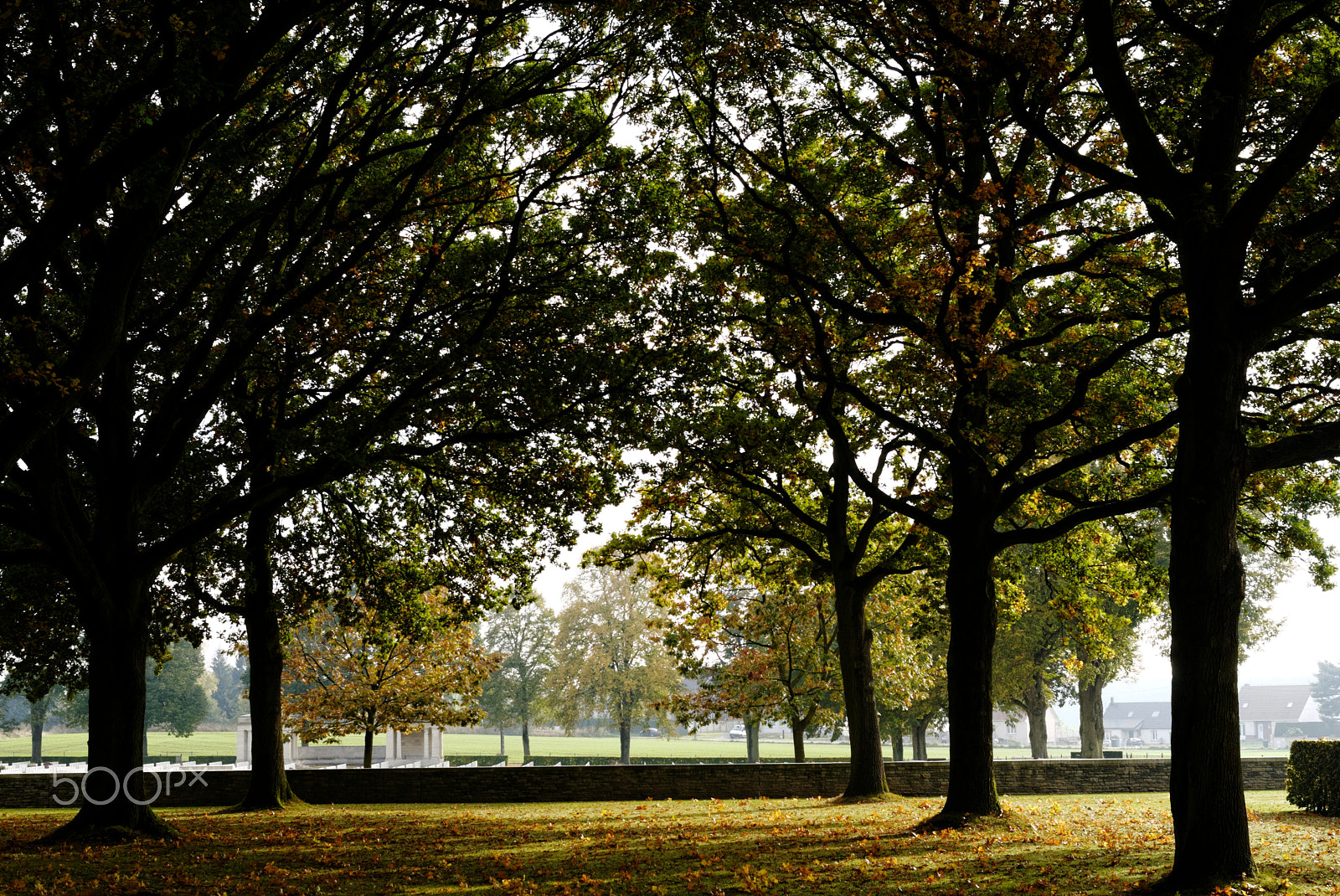 Pentax K10D sample photo. Fall in longueval (picardy) photography