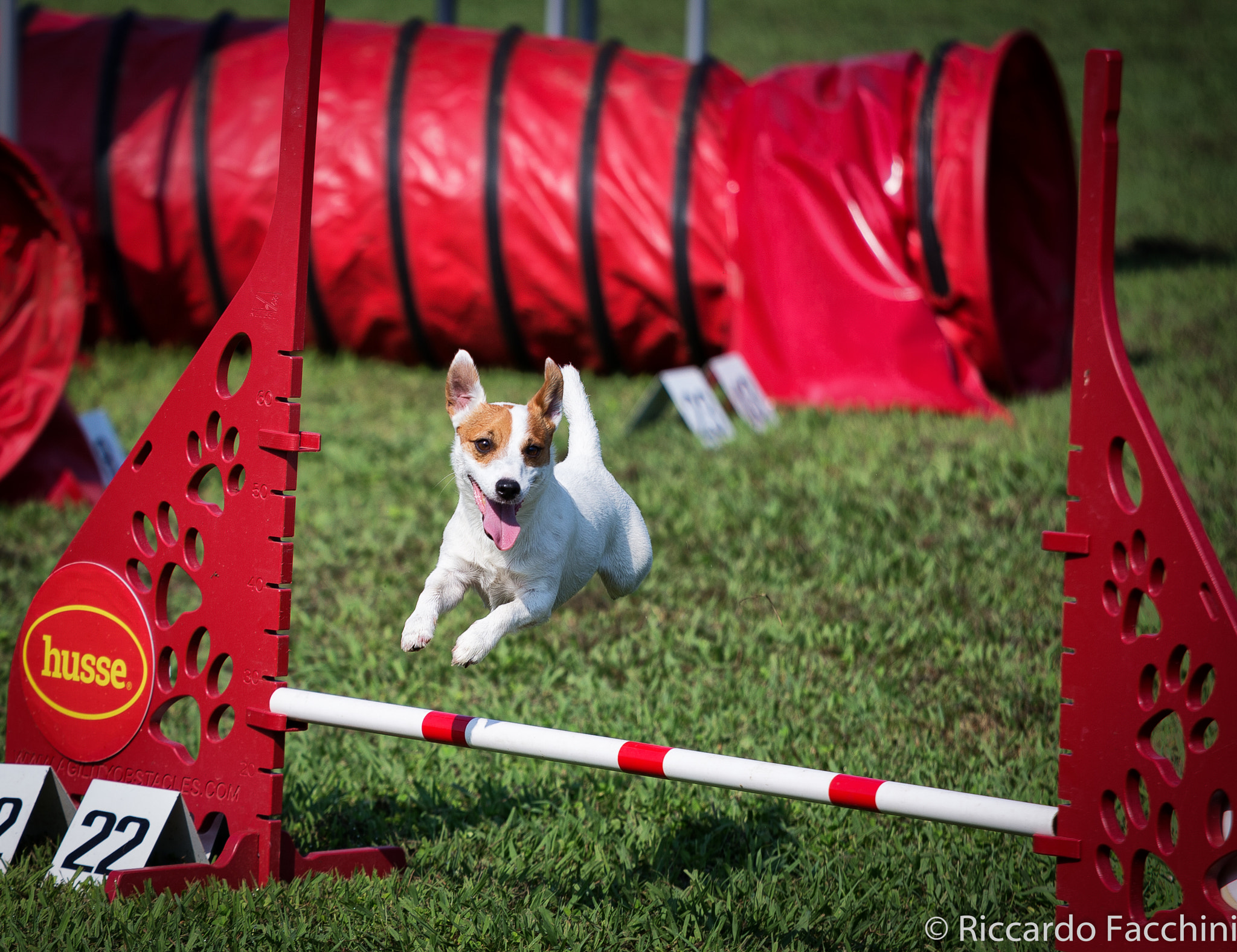 Canon EF 70-200mm F4L IS USM sample photo. Agility and fun... not work, just fun photography