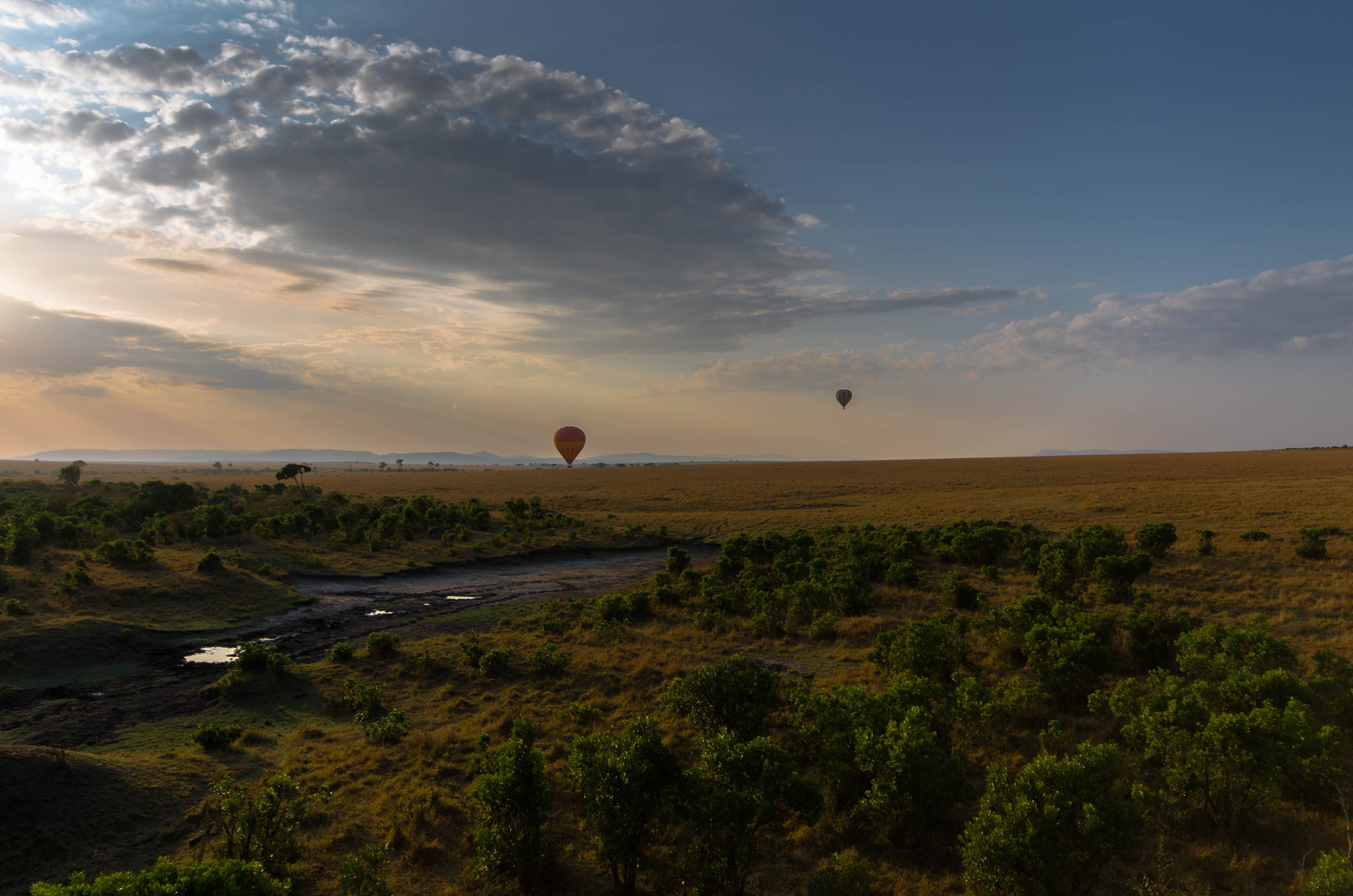 Pentax K-5 IIs + Sigma AF 10-20mm F4-5.6 EX DC sample photo. Flying over savannah's trees photography