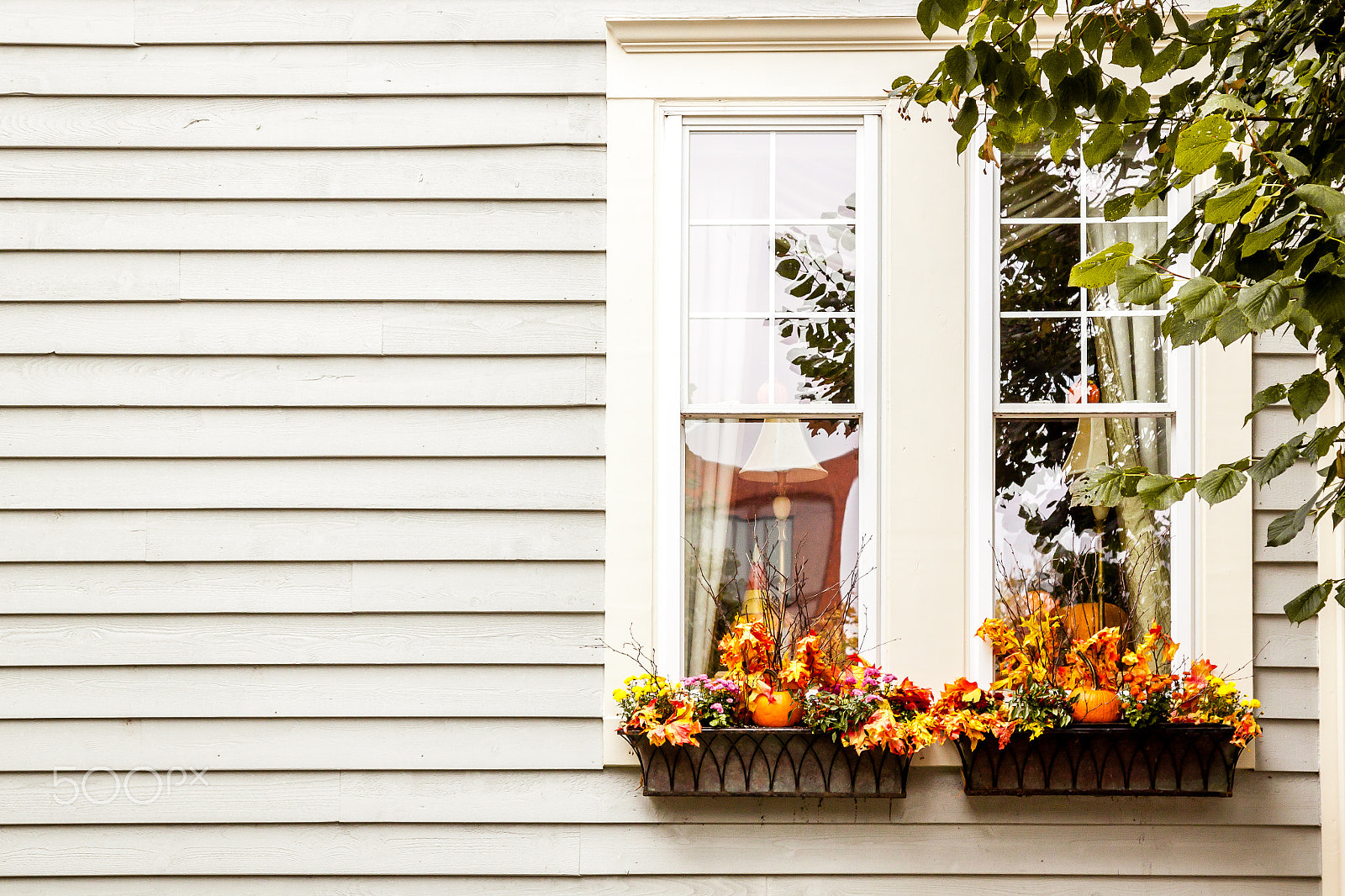 Canon EOS 500D (EOS Rebel T1i / EOS Kiss X3) sample photo. Pumpkin window photography