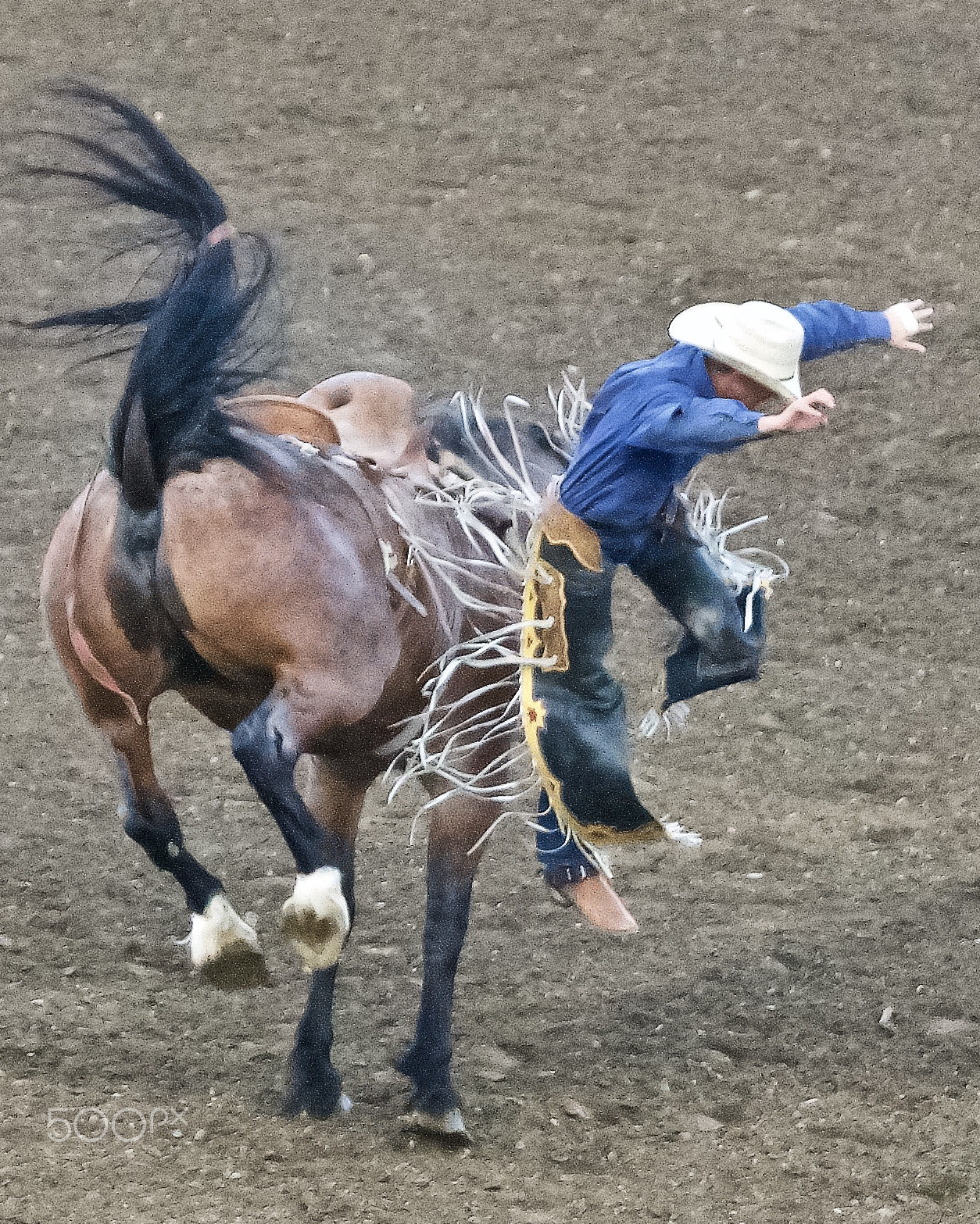 Sony a7R II + Sony FE 90mm F2.8 Macro G OSS sample photo. Rodeo photography