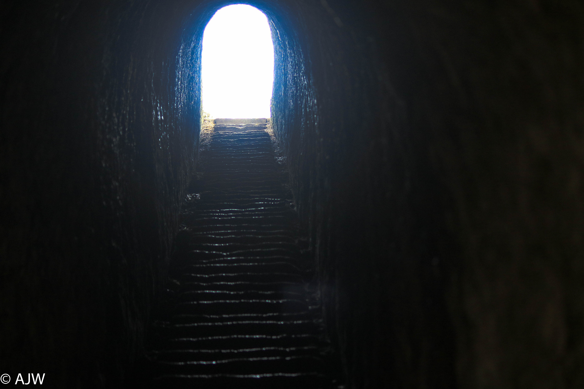 Canon EF-S 55-250mm F4-5.6 IS II sample photo. Tunnel of light photography