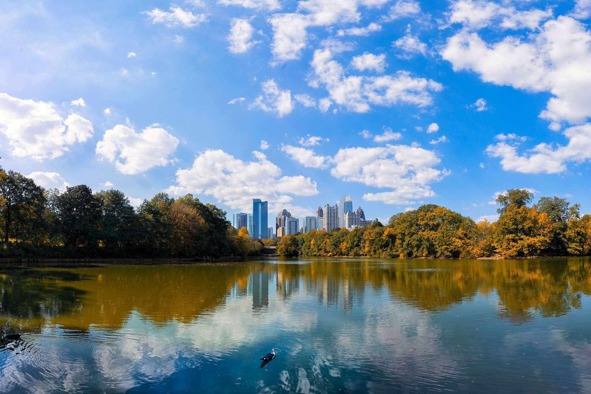 Voigtlander SUPER WIDE-HELIAR 15mm F4.5 III sample photo. Autumn reflections photography
