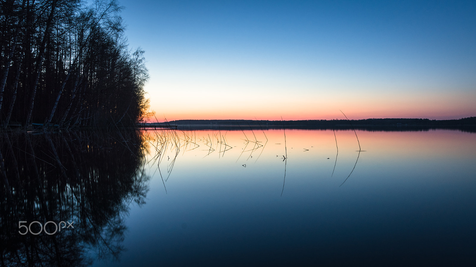 Sony SLT-A55 (SLT-A55V) sample photo. Keep calm and... photography
