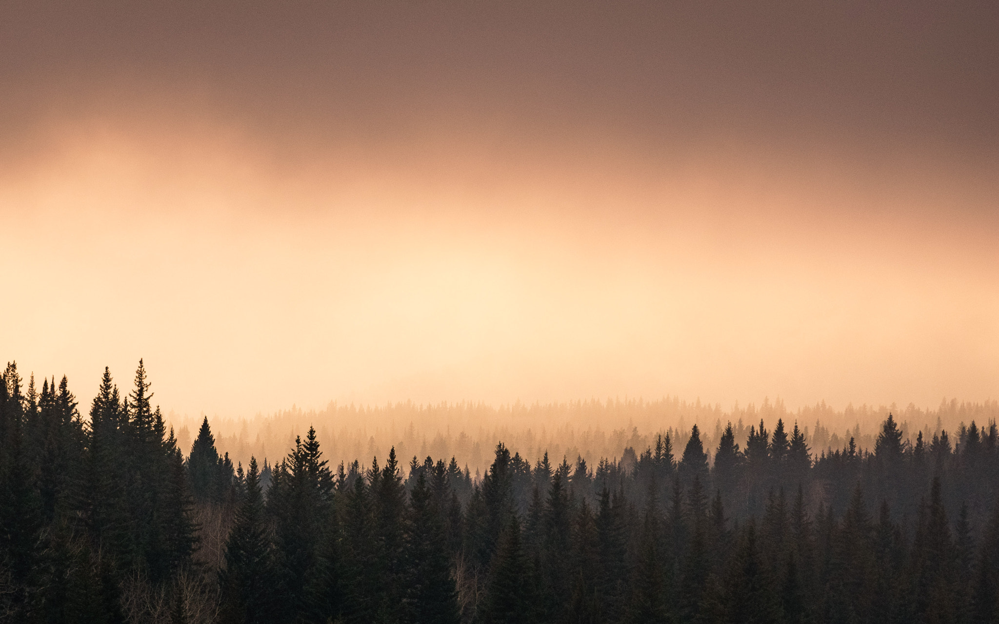 70-200mm F4 G OSS sample photo. Fall colours photography