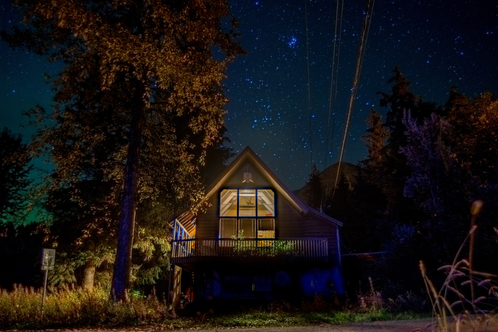 Nikon D800 sample photo. The animal house in girdwood alaska photography