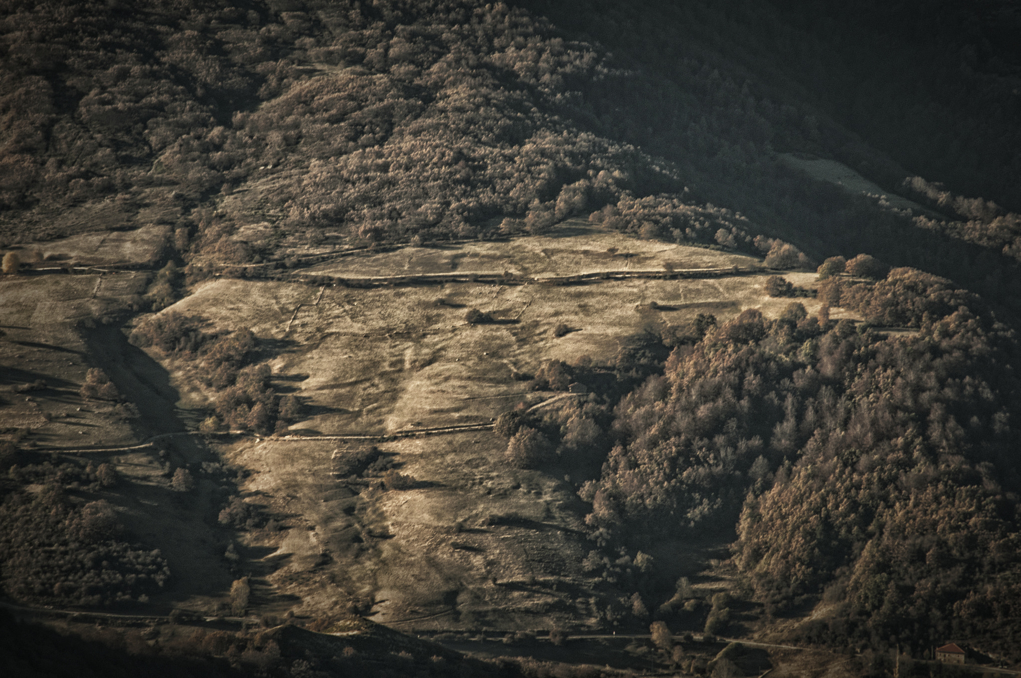 Nikon D300 sample photo. _ photography