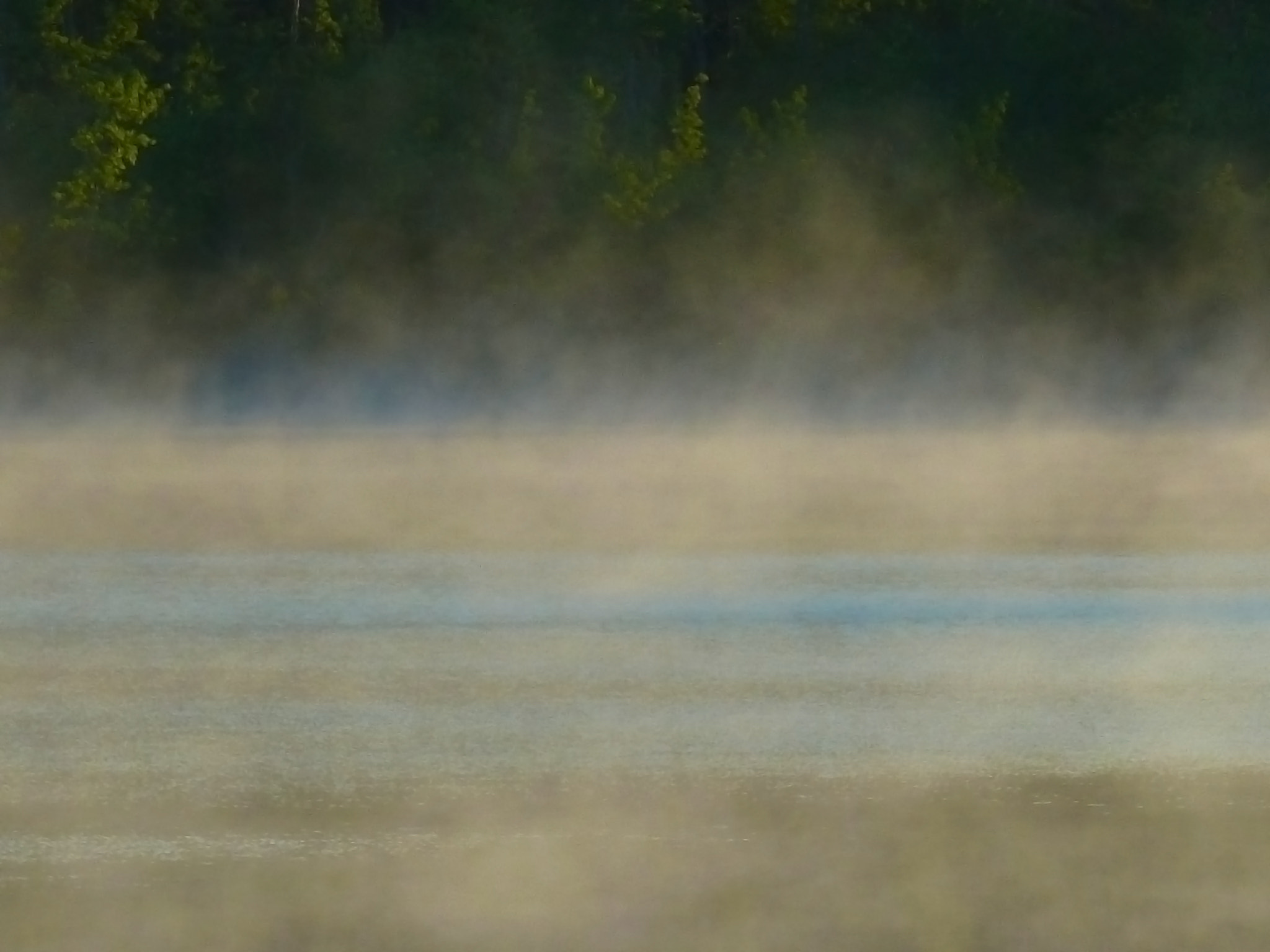 Panasonic Lumix DMC-ZS5 (Lumix DMC-TZ8) sample photo. Moods of a lake (willis pond) photography