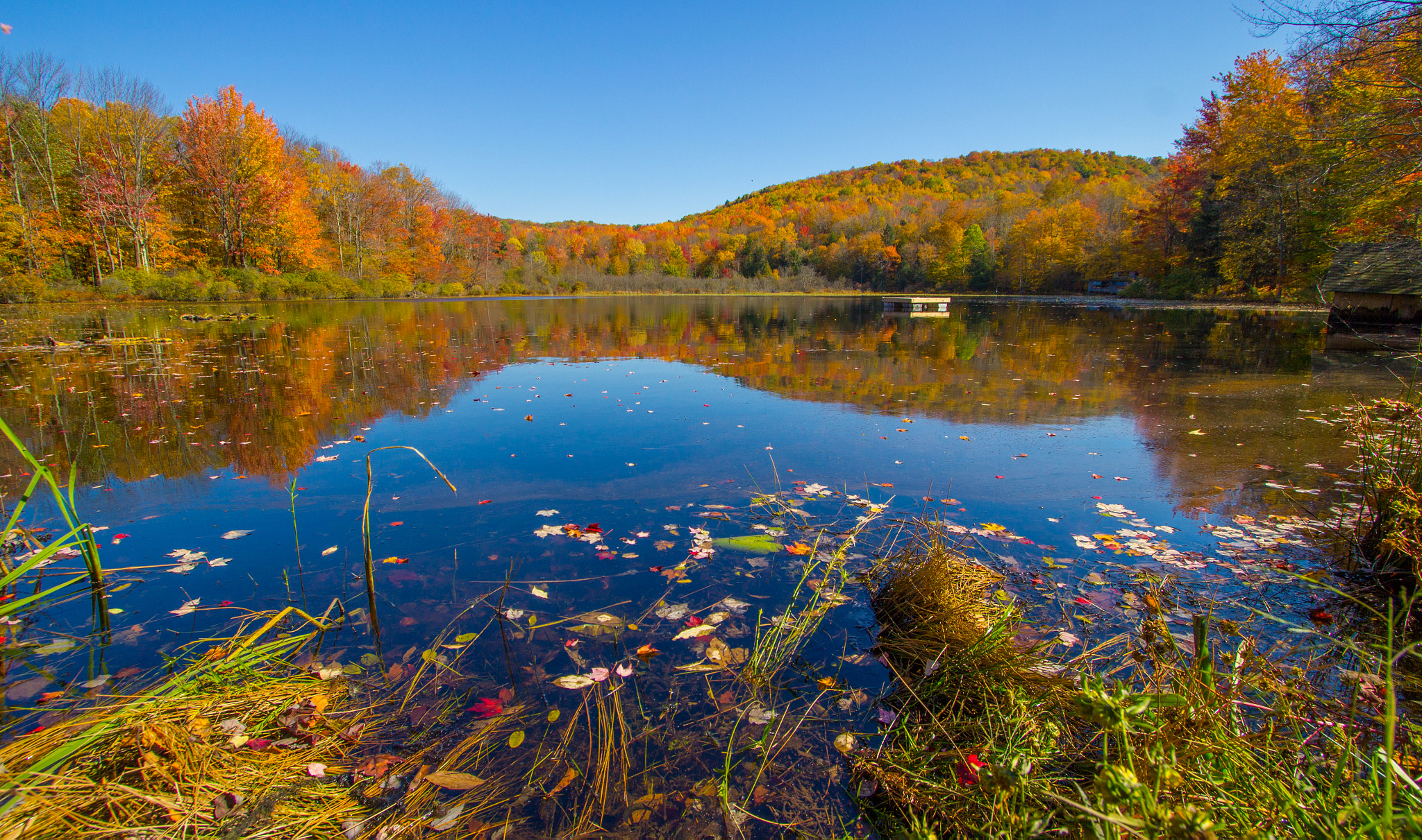 Canon EF-S 10-22mm F3.5-4.5 USM sample photo. Reflections on an autumn lake photography