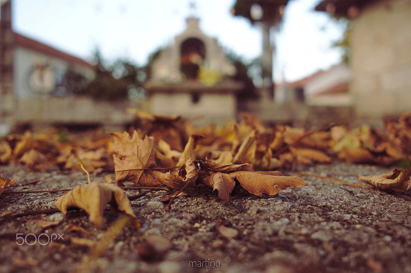 Sony Alpha NEX-6 + Sigma 19mm F2.8 EX DN sample photo. Autumn photography