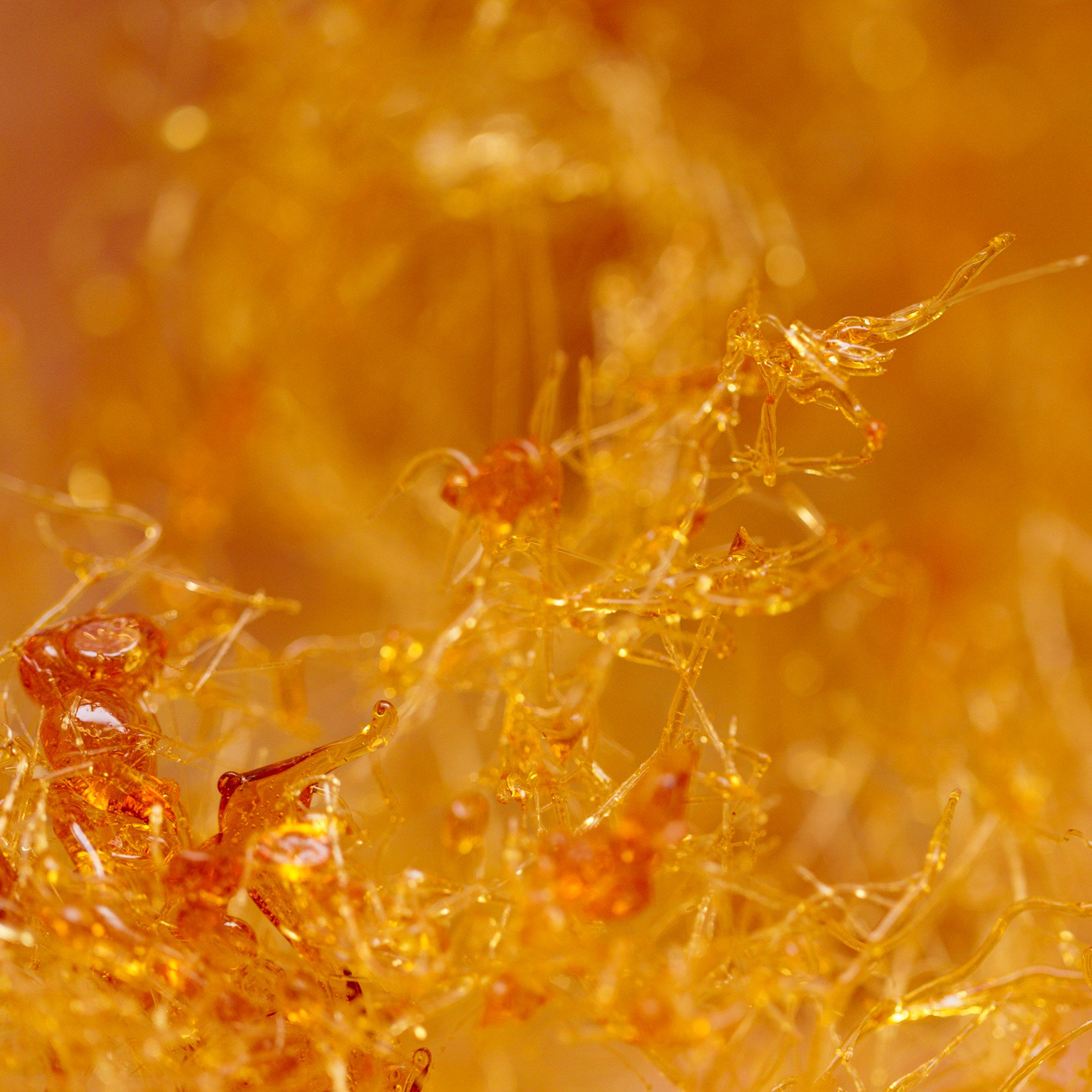 Canon EOS-1D Mark IV sample photo. Creation of sugar. restaurant berower park, riehen (ch) photography