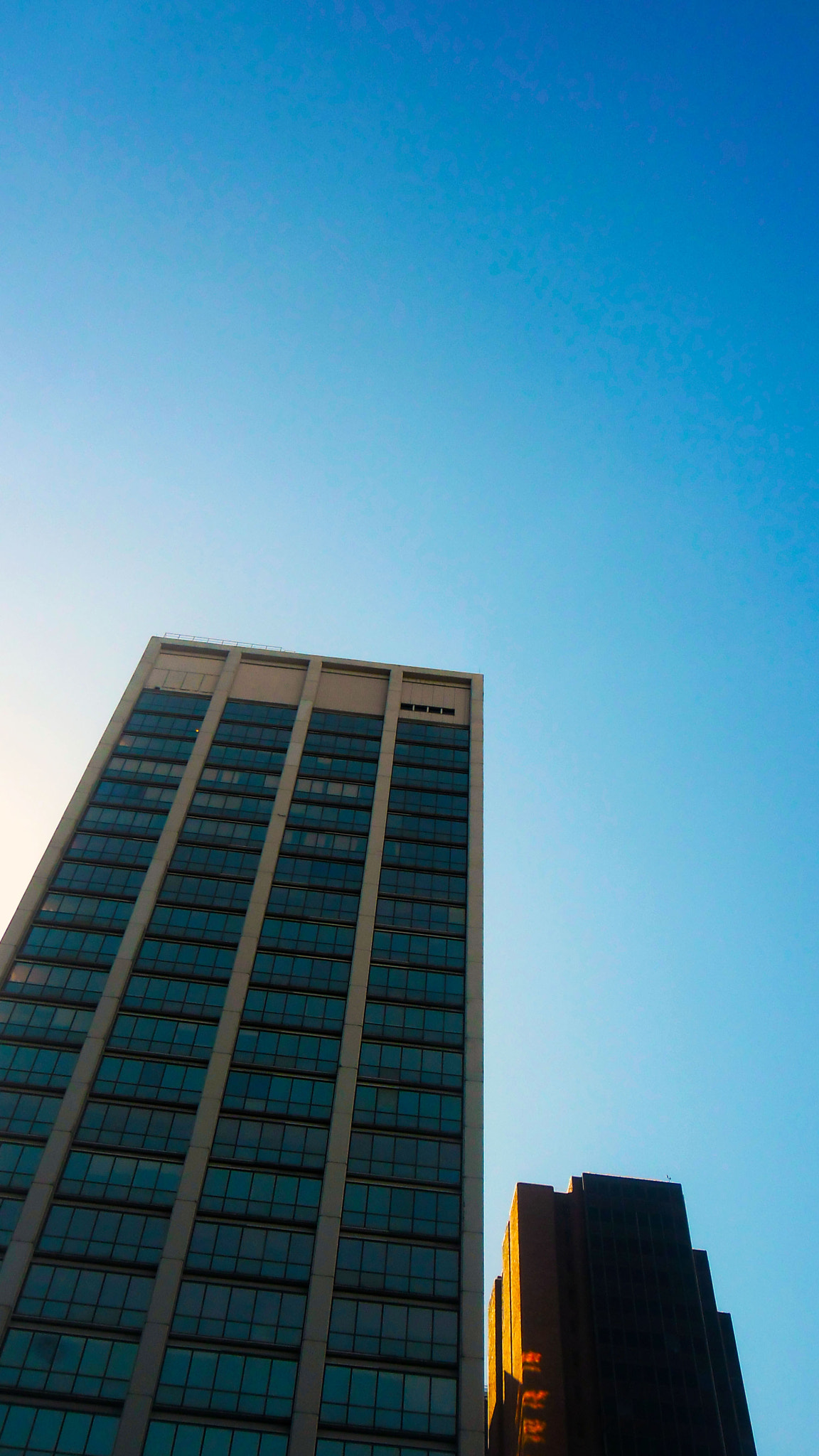 Samsung ES80/ ES81 sample photo. 77 photography