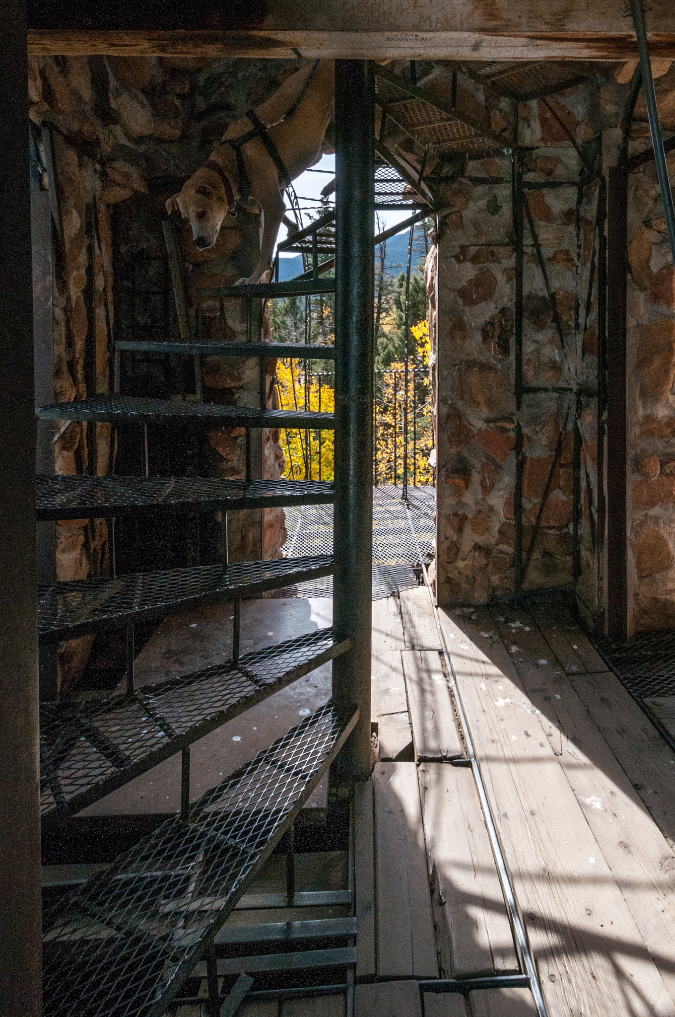 Nikon D300 sample photo. Bishop castle photography