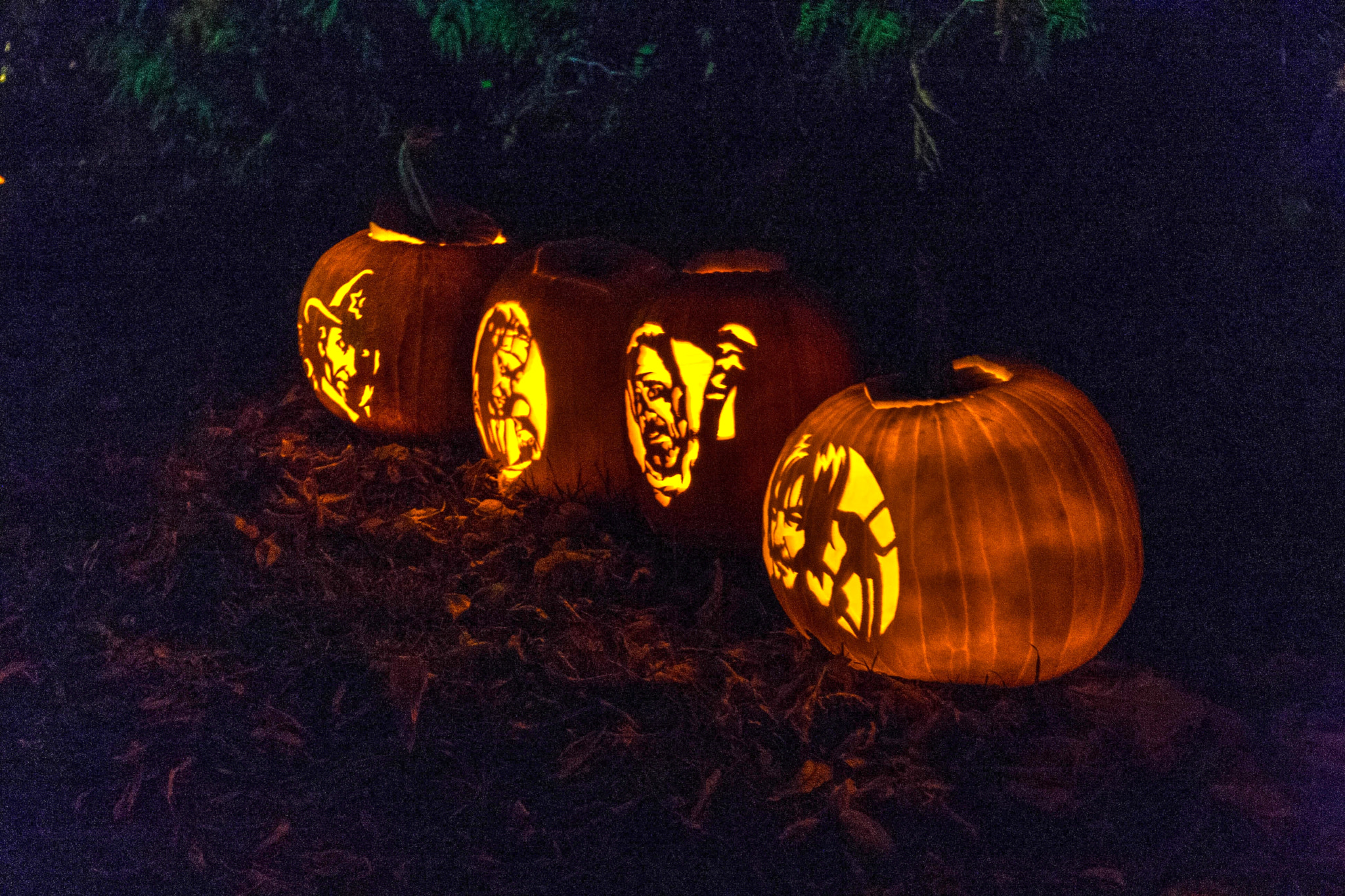 Canon EF 16-35mm F4L IS USM sample photo. Walking dead pumpkins photography