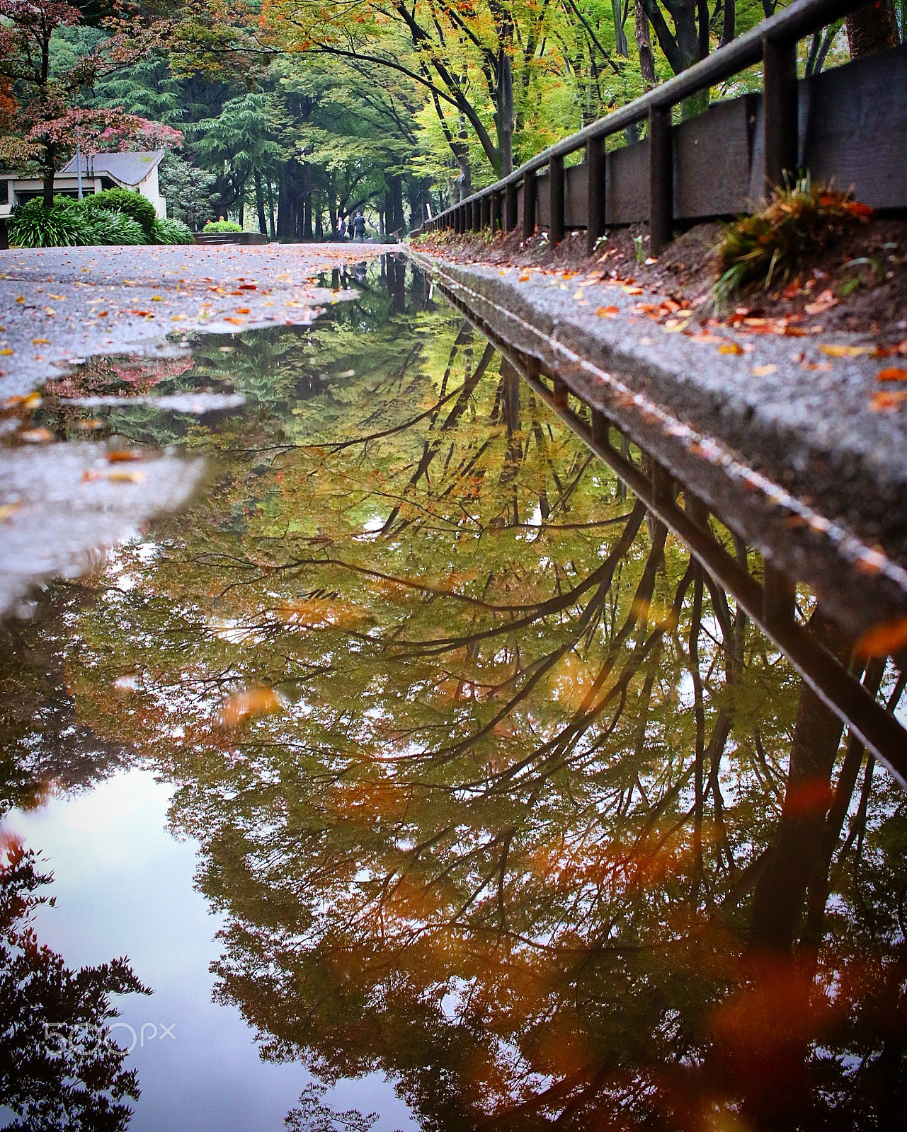 Canon EOS M3 sample photo. Refraction photography