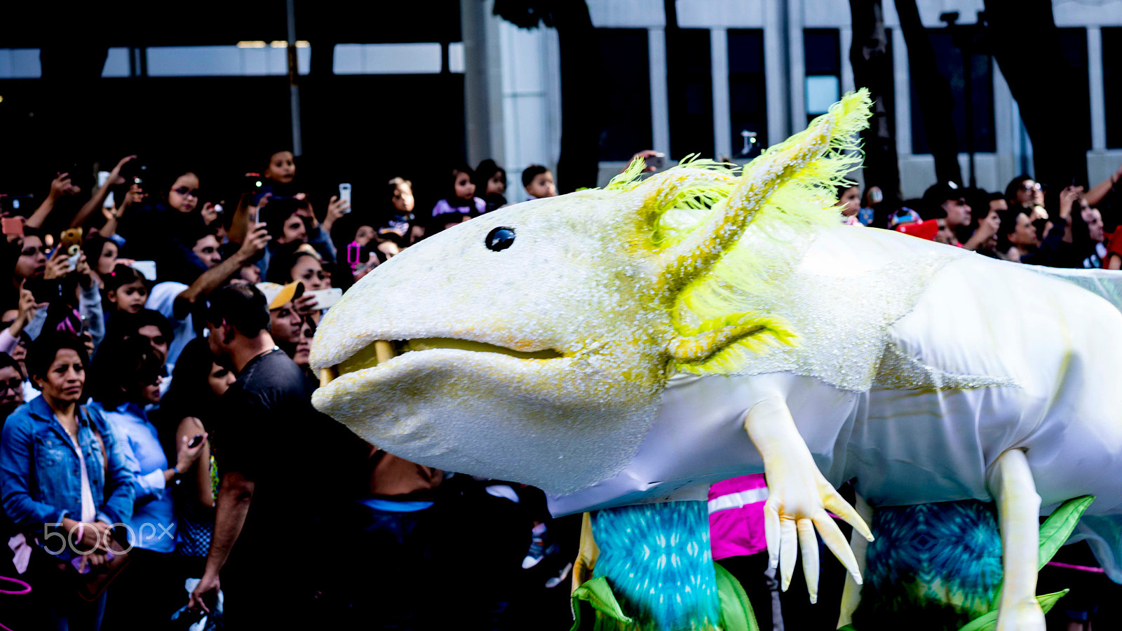 Sony a99 II sample photo. Día de muertos méxico photography