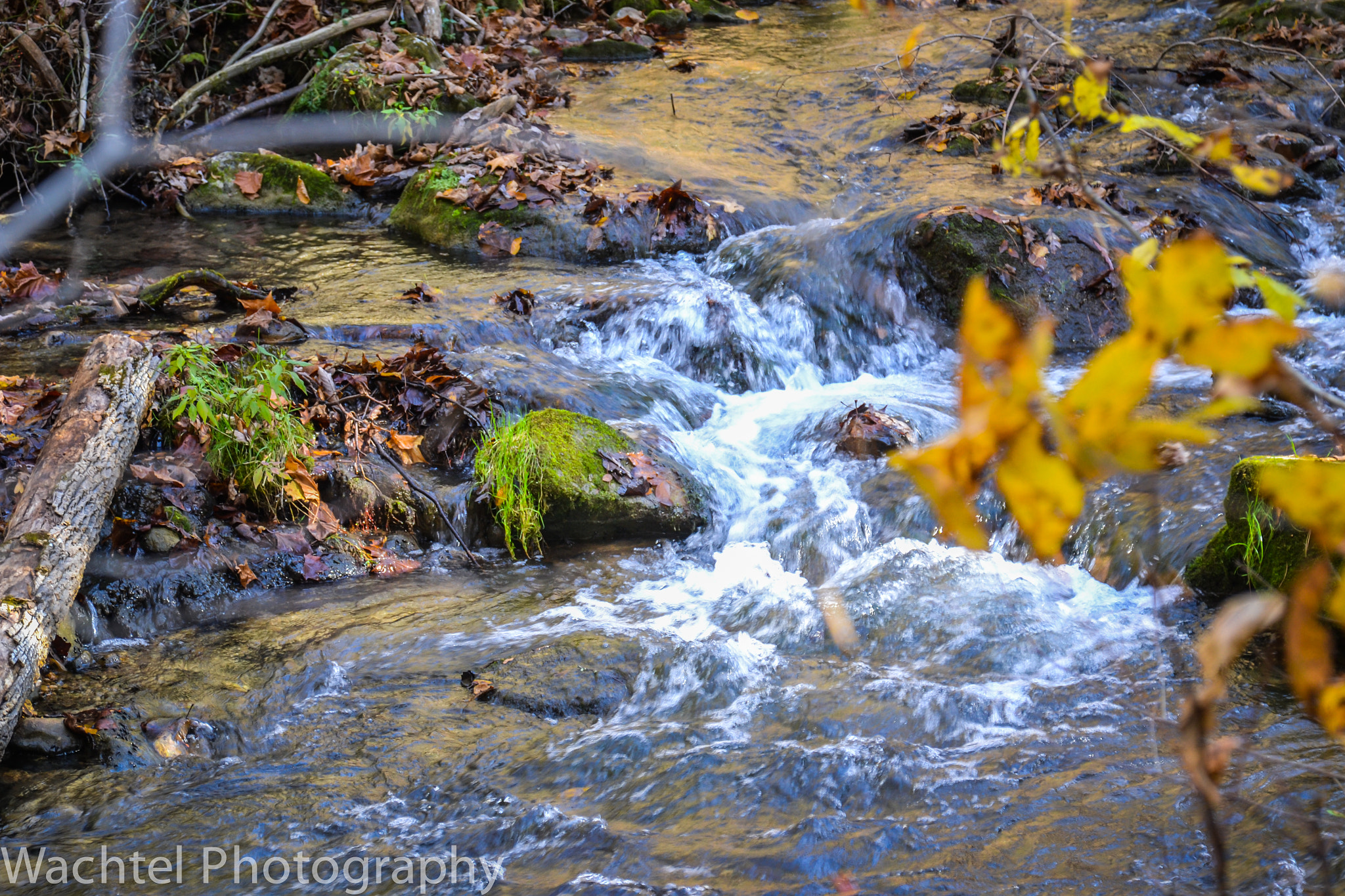 Nikon D3100 sample photo. A river runs through it photography