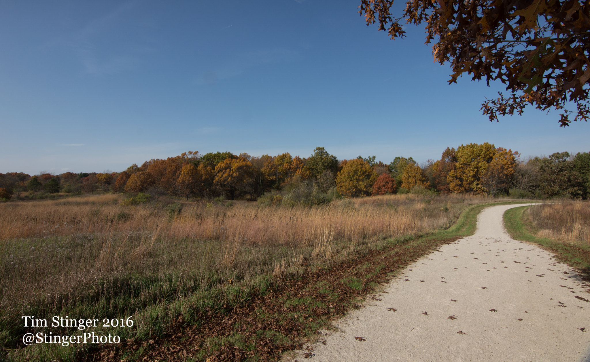 Nikon D3200 sample photo. Before the leaves fall away photography
