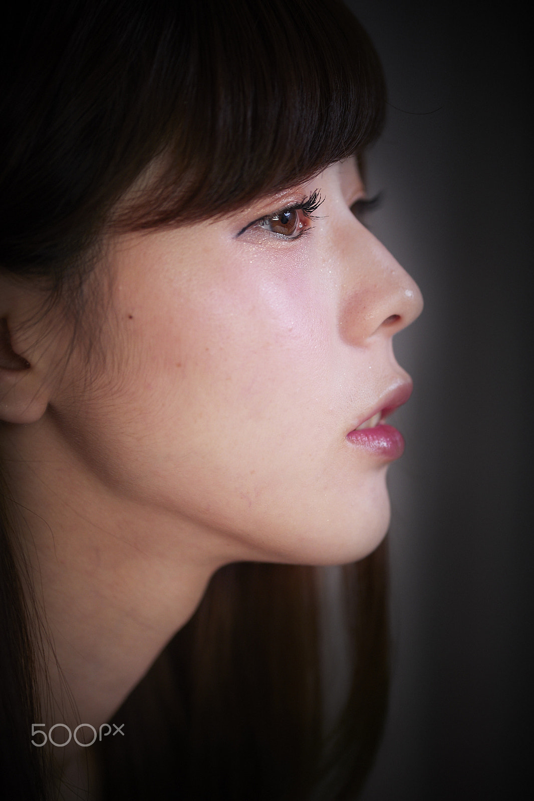 Canon EOS-1D X Mark II sample photo. Profile photography