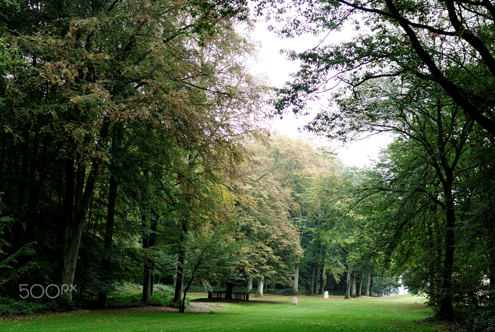 Pentax K10D sample photo. Fall in longueval (picardy) photography