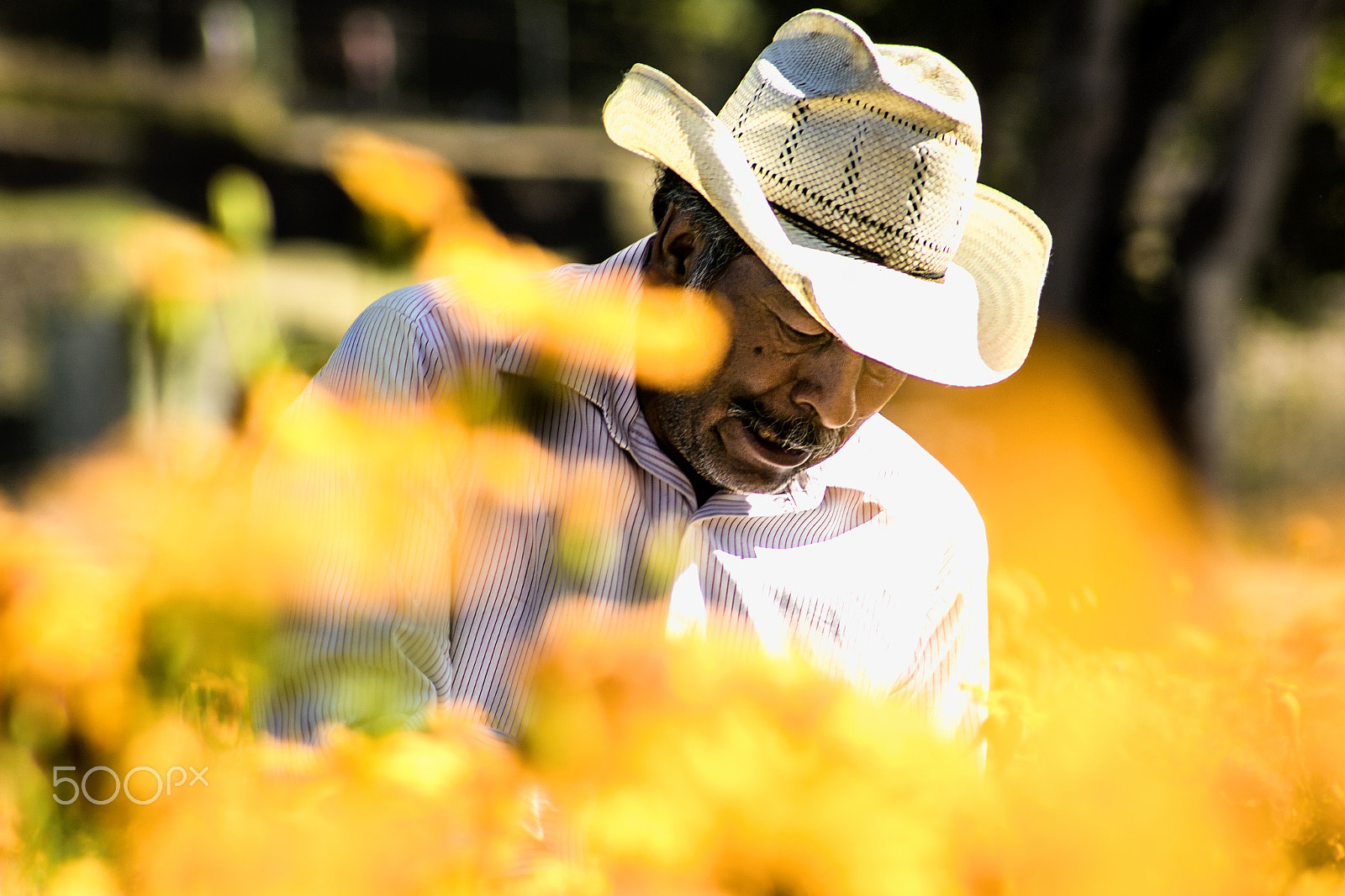 Canon EF 75-300mm f/4-5.6 USM sample photo. Flor photography