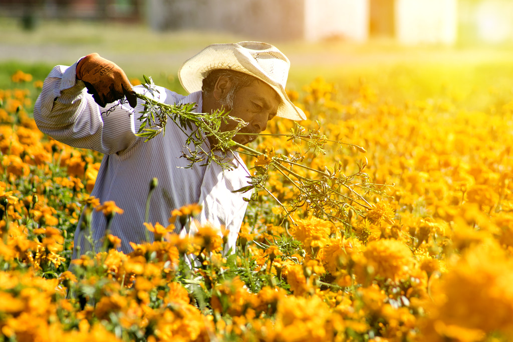 Trabajador by Isaac Lopez  Mesa on 500px.com