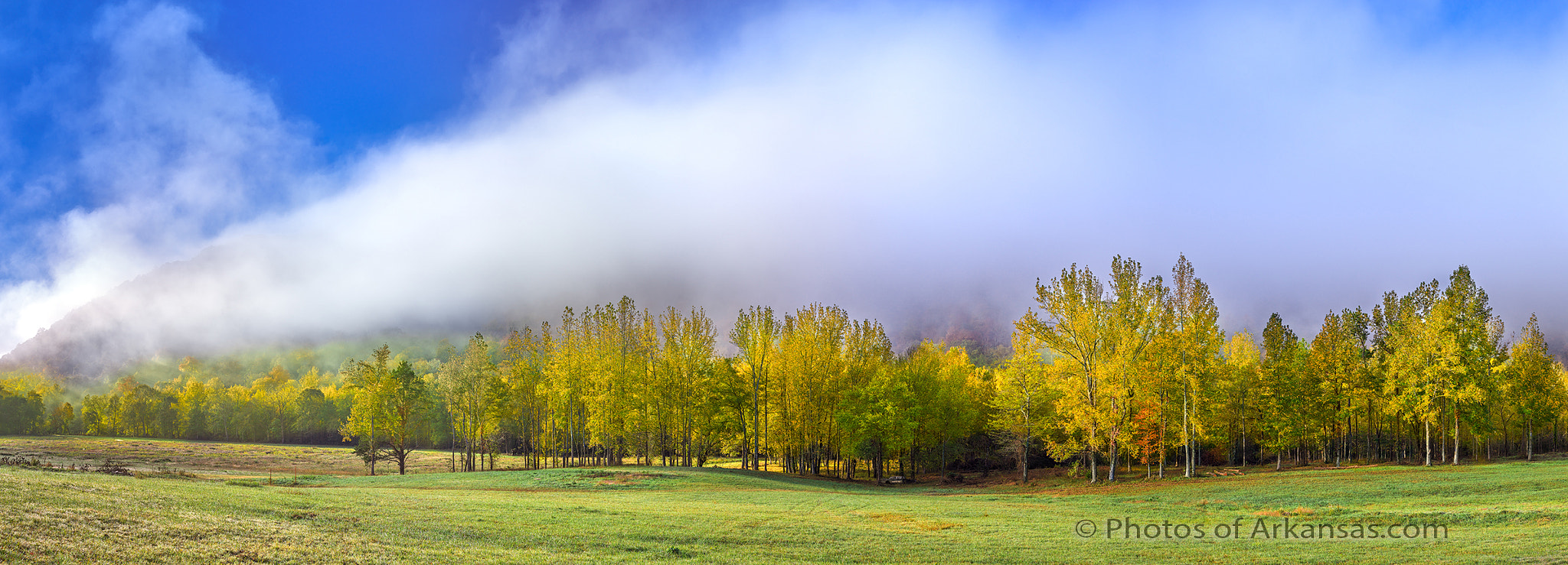 Schneider Kreuznach LS 55mm f/2.8 sample photo. Early monring fall view of the valley of big piney creek photography