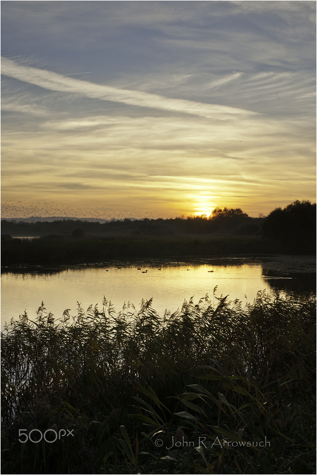 Sony Alpha DSLR-A900 sample photo. Avalon marshes photography