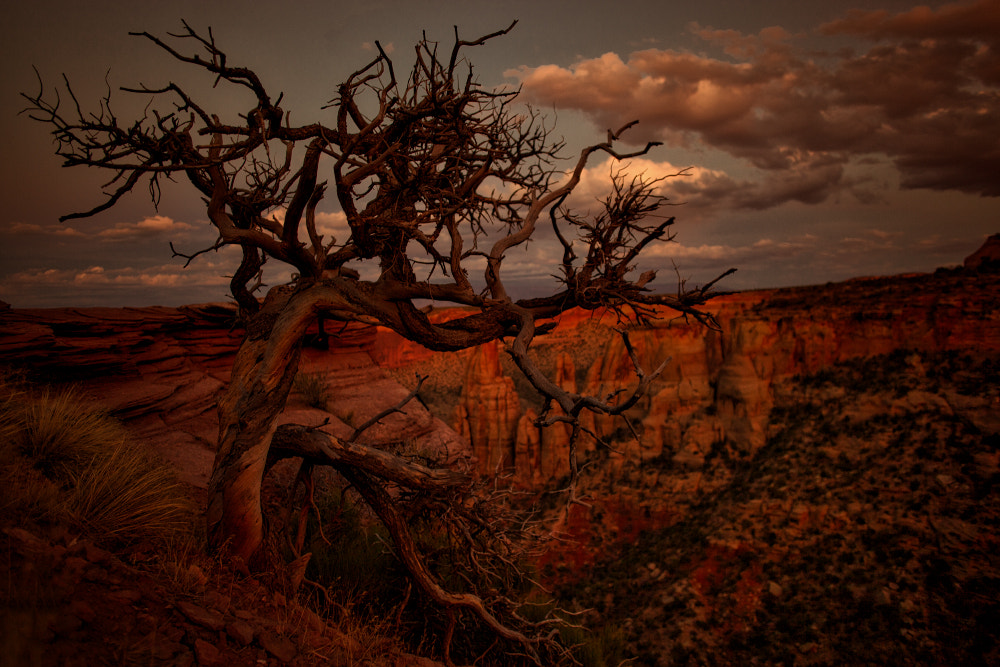 Canon EF 24mm F2.8 IS USM sample photo. Dust of time photography
