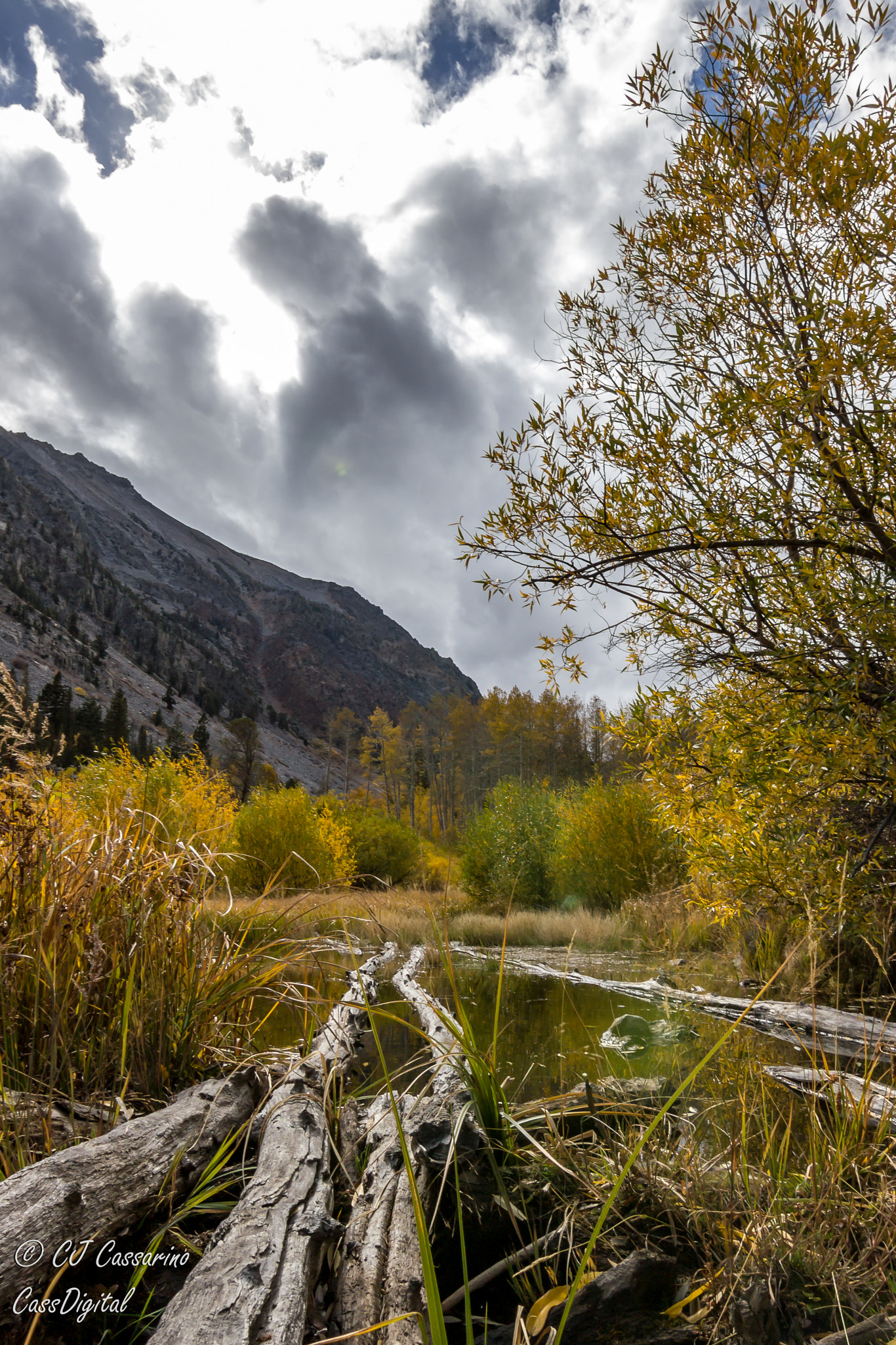 Canon EOS 600D (Rebel EOS T3i / EOS Kiss X5) sample photo. The way to fall colors photography