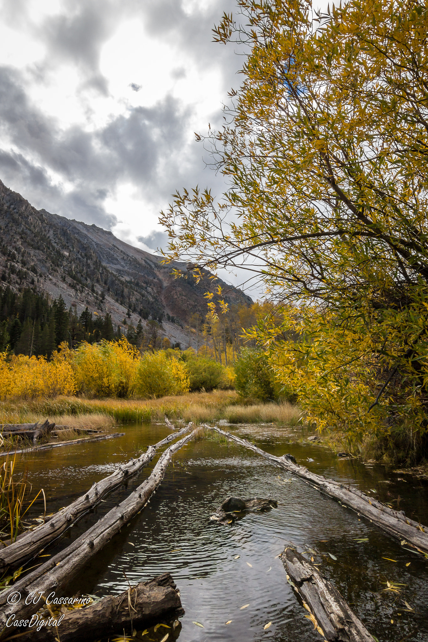 Canon EOS 600D (Rebel EOS T3i / EOS Kiss X5) sample photo. Bridge to fall colors photography