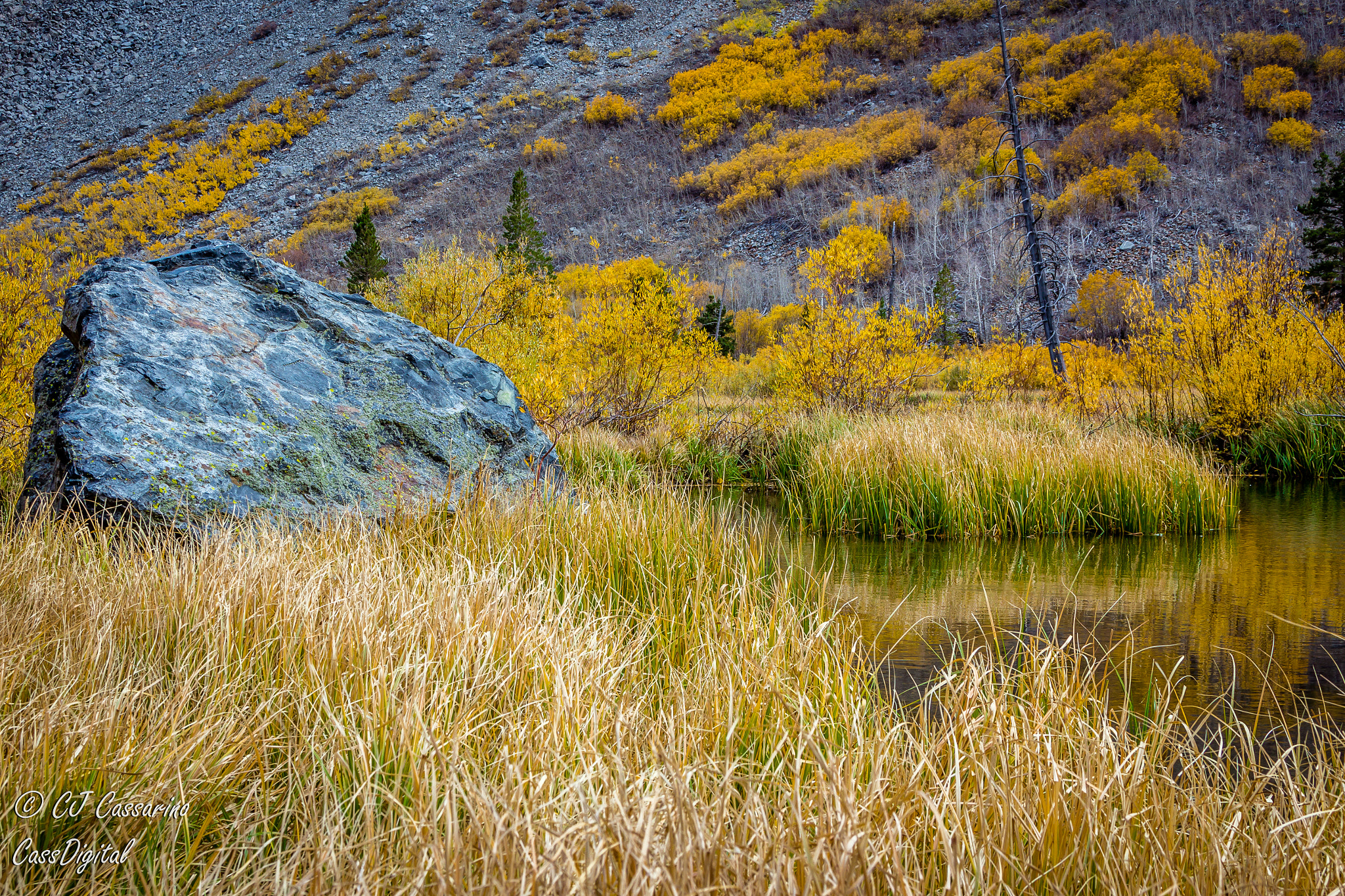 Canon EF 28-135mm F3.5-5.6 IS USM sample photo. Boulder amongst the colors photography